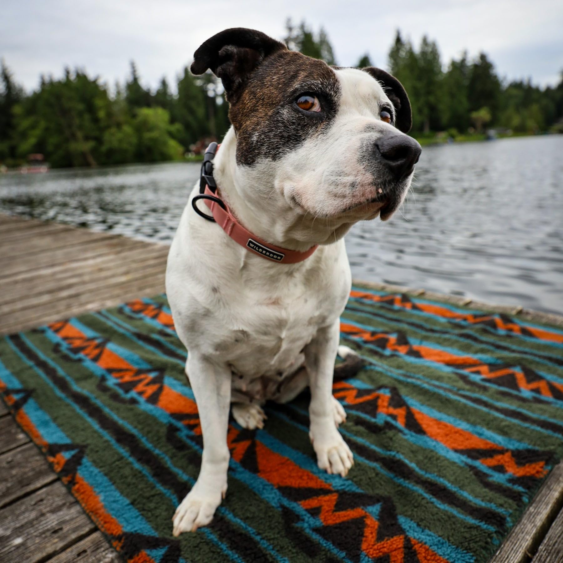 Wilderdog Sherpa Fleece Waterproof Dog Blanket - 60'' X 90'' - Olive