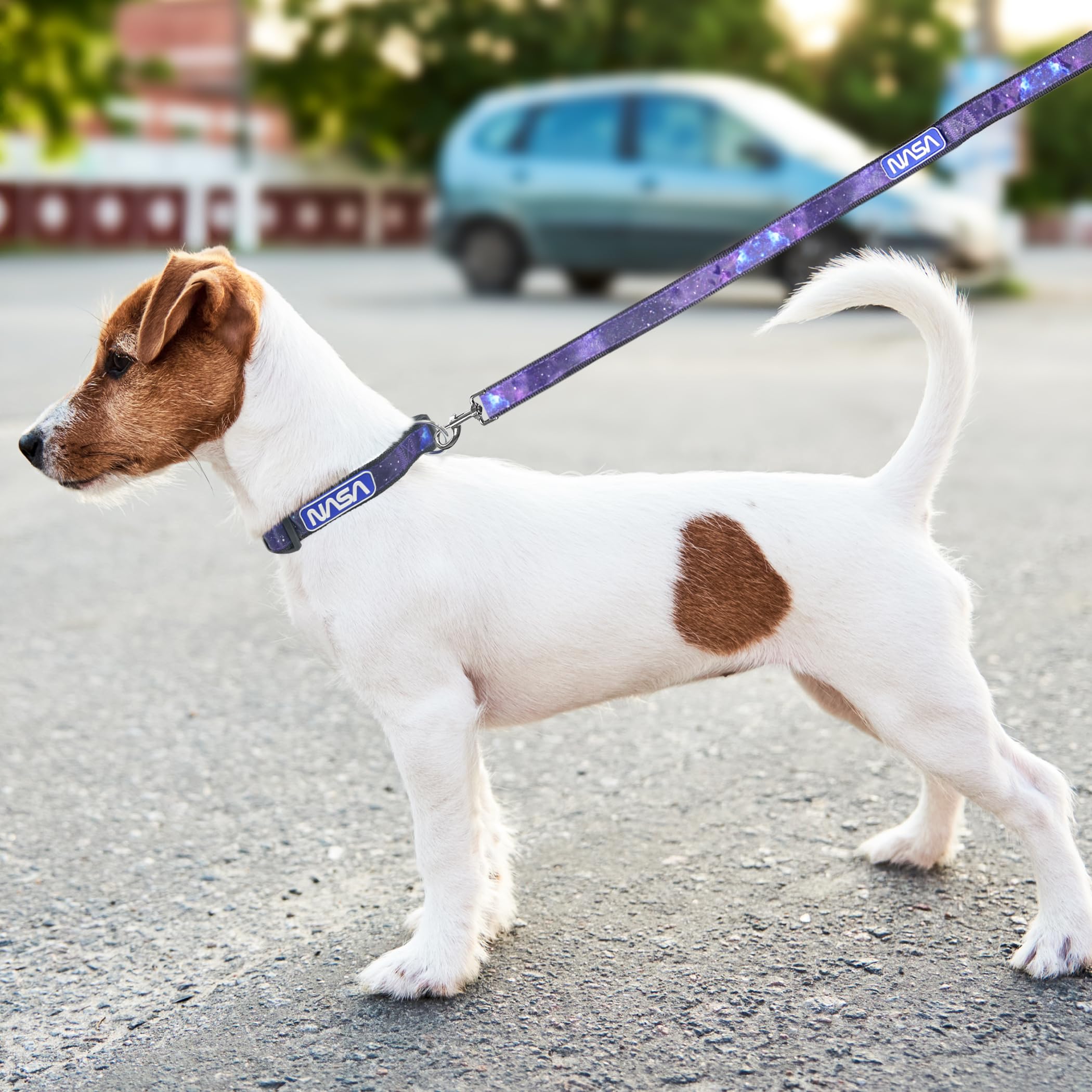 Pets First Nasa Dog Leashes And Collars