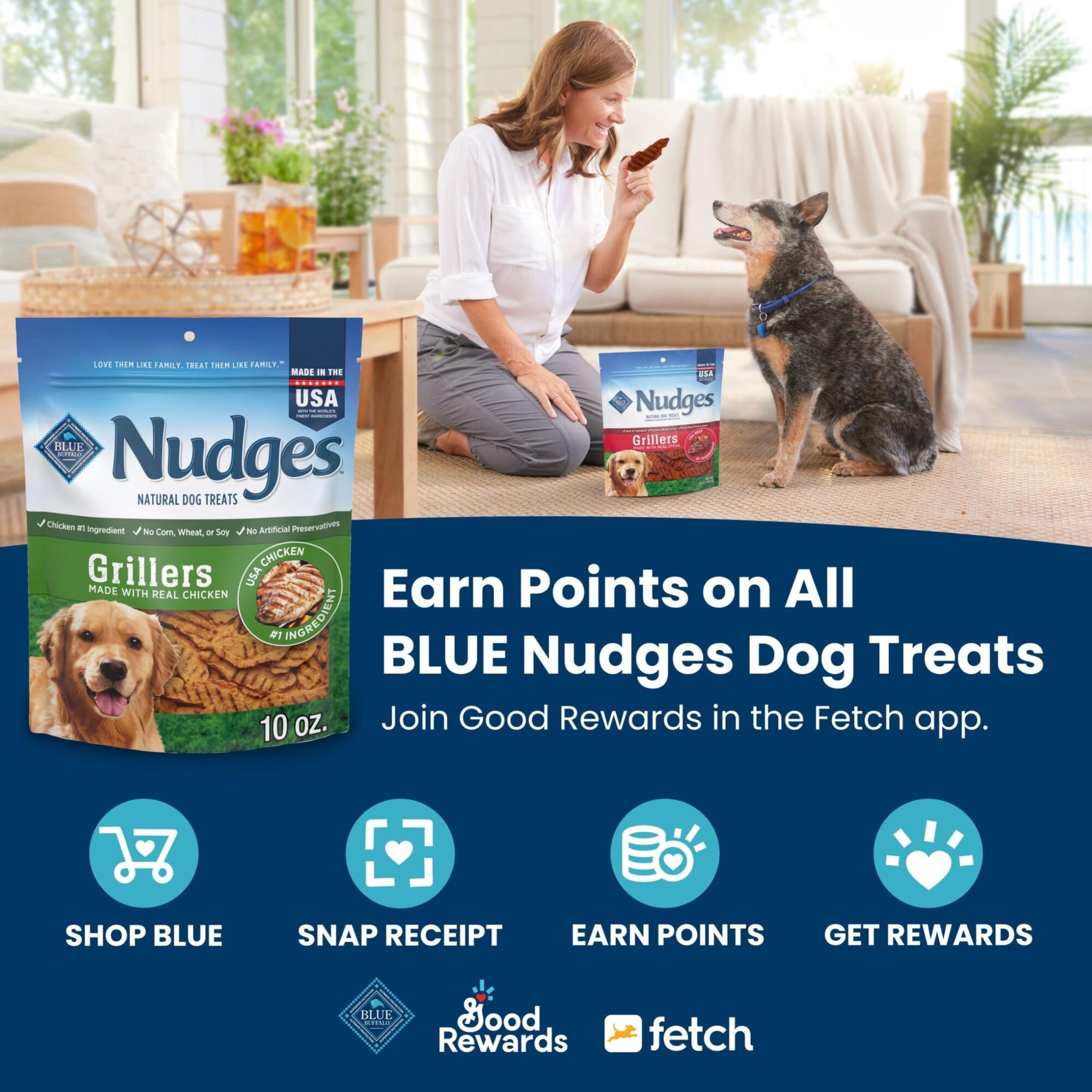Blue Buffalo Nudges On The Go Dog Treats, Made in the USA with Natural Ingredients, Chicken, 5.5-oz. Bag