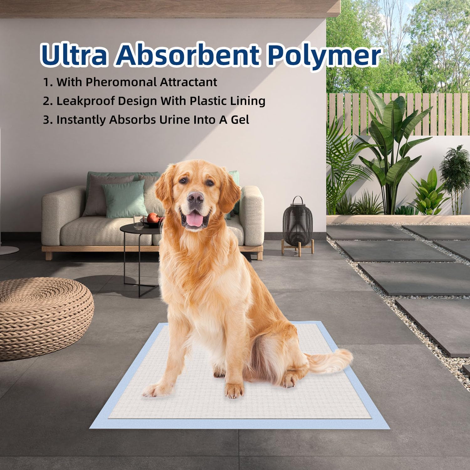 Honey Care All-Absorb, Small 17.5' X 23.5', 120 Count, Dog And Puppy Training Pads, Ultra Absorbent And Odor Eliminating, Leak-Proof 5-Layer Potty Training Pads With Quick-Dry Surface, Blue, A05