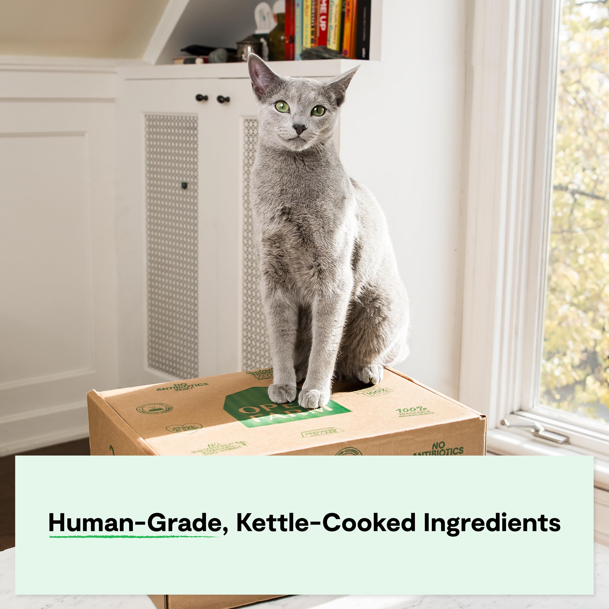 Open Farm Harvest Chicken Rustic Blend Wet Cat Food, Complete Meal or Food Topper with Responsibly Sourced Meat and Superfoods W