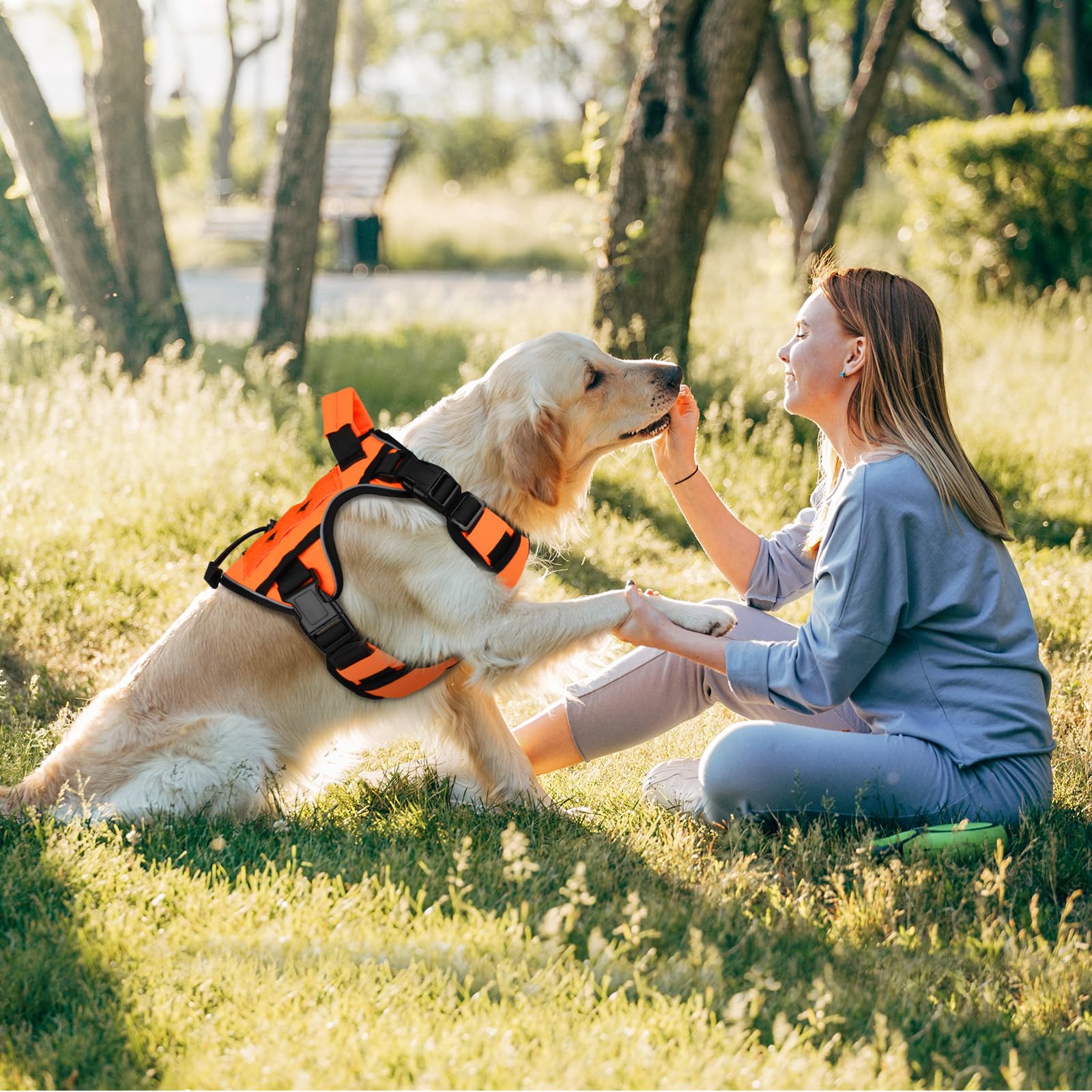 Wingoin Orange Dog Tactical Harness For Small Dogs No Pull Adjustable Reflective K9 Military Dog Service Dog Harnesses With Handle, Metal Buckles For Dachshund, Boston Terrier, Beagle(S)