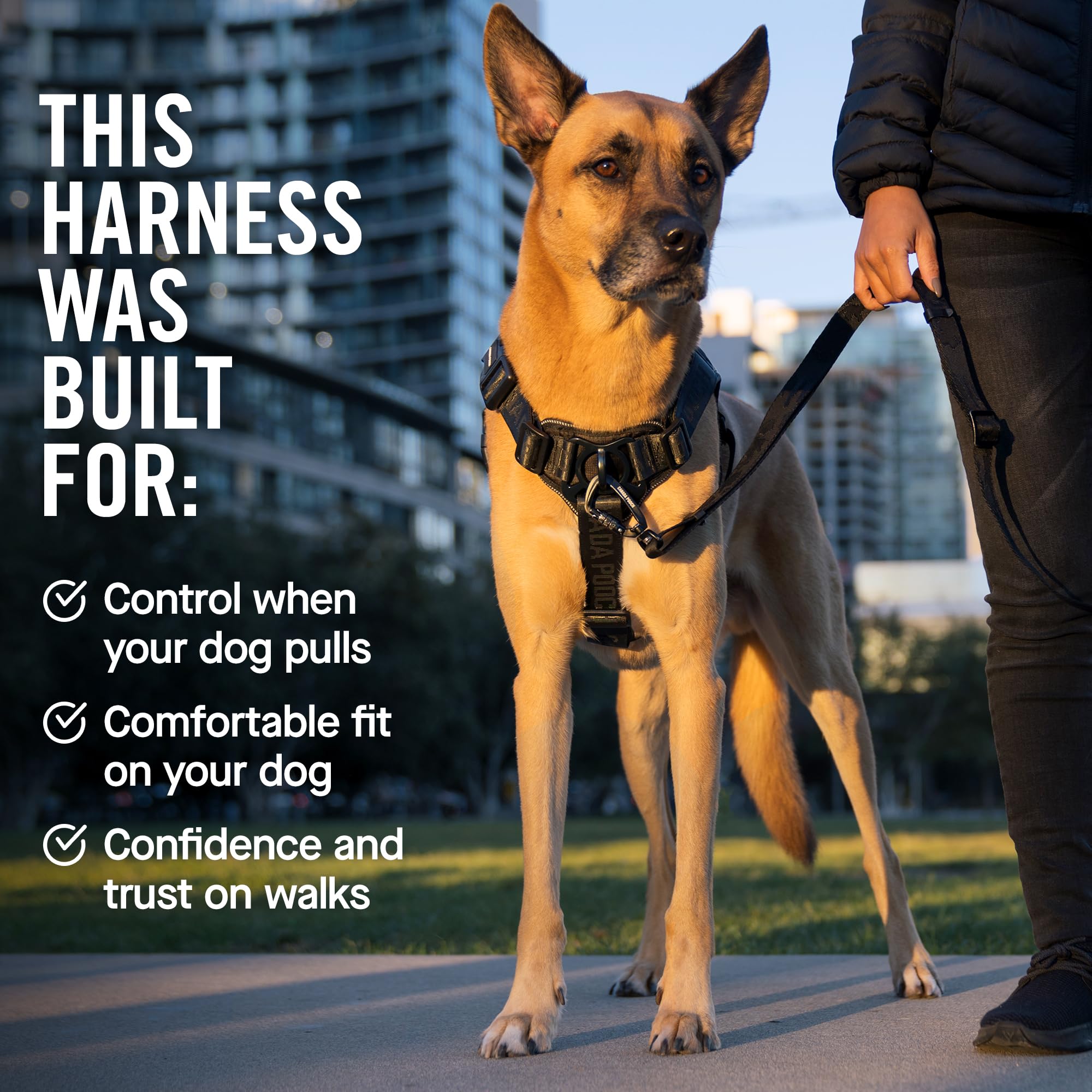 Canada Pooch Complete Control Dog Harness, Black, X-Large