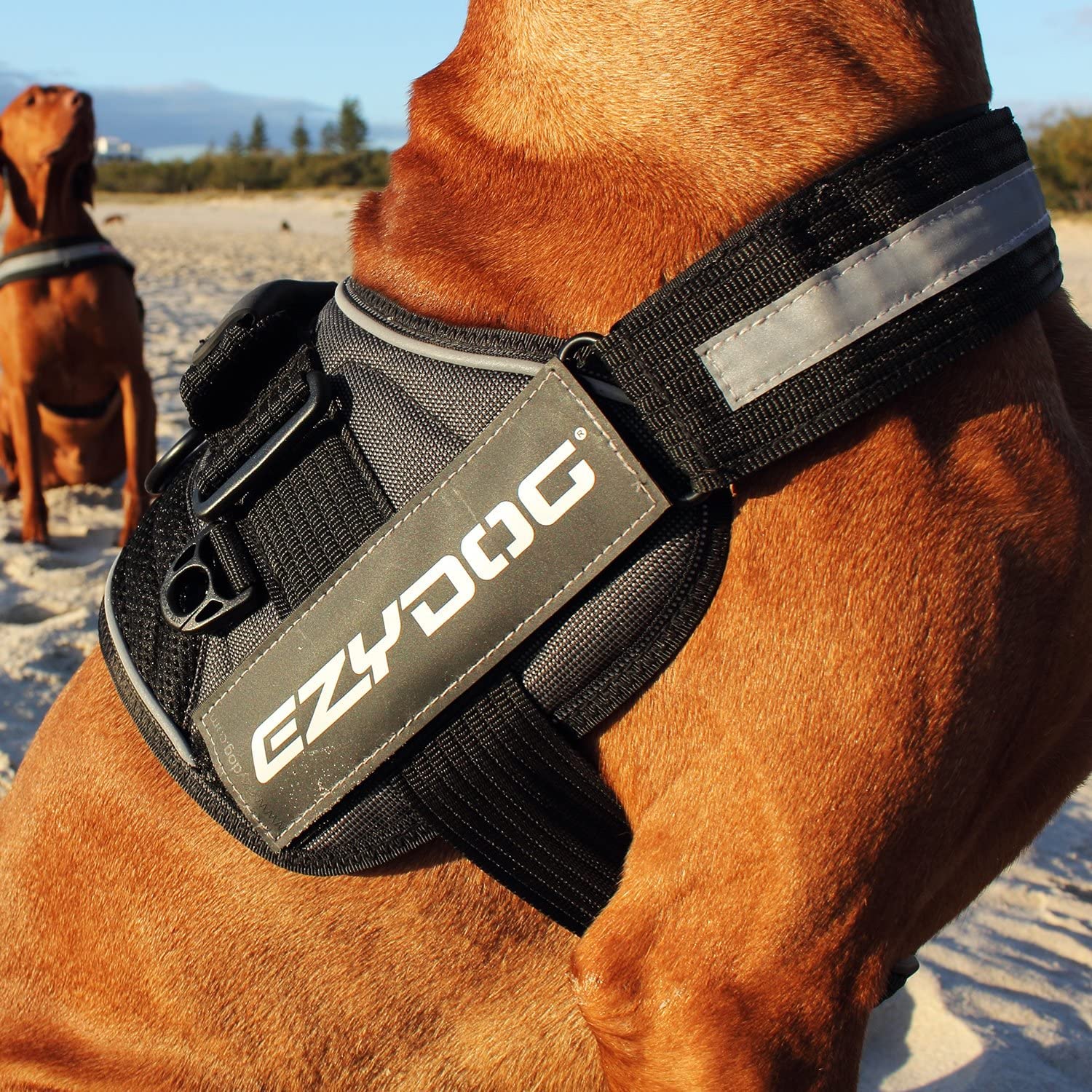 EzyDog Convert Trail-Ready Outdoor Adjustable Dog Harness - Perfect for Hiking, Walking, and Doubles as a Service Dog Vest - Sup