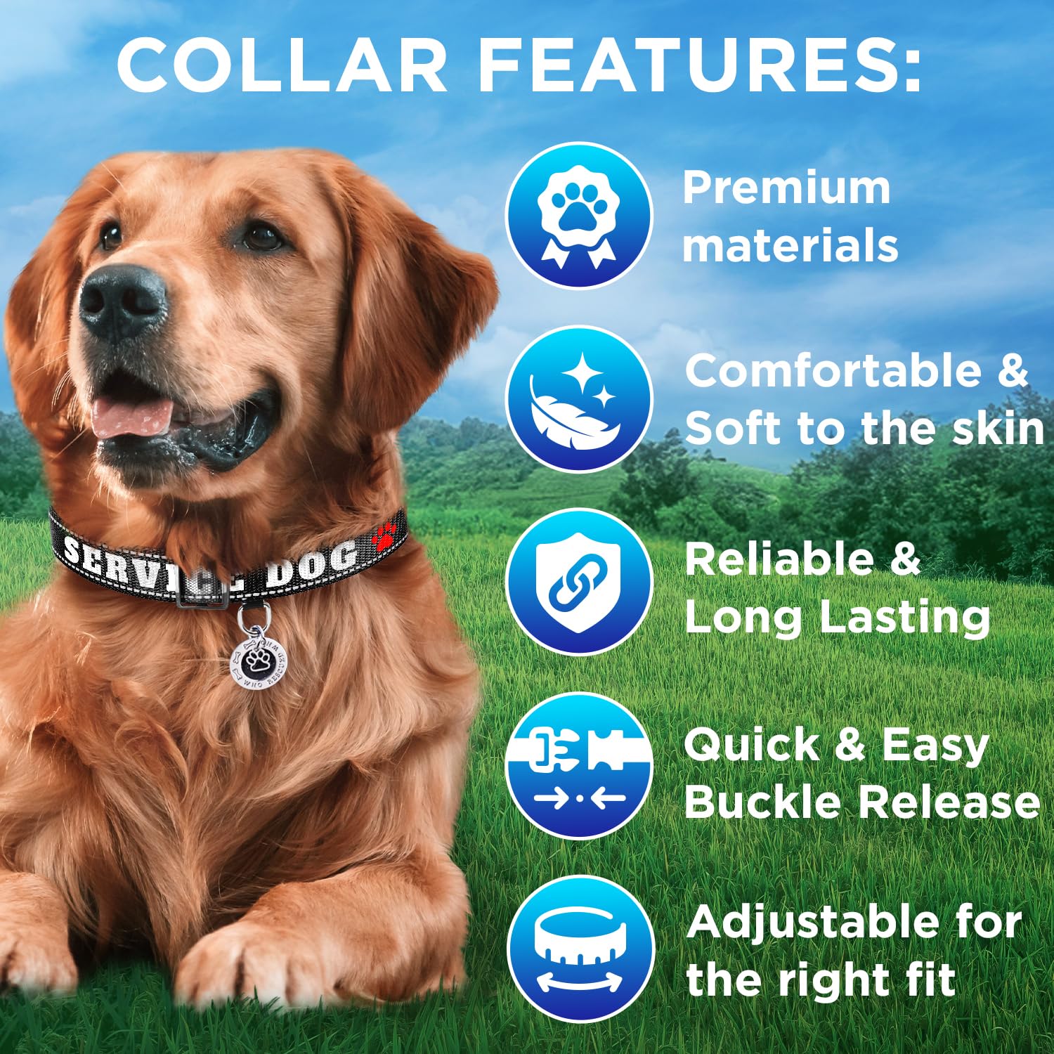 Teceum Reflective Pet Collar - Black - Service Dog - L - Extra Soft Padding - Basic Nylon Dog Collar - Quick Release Buckle - Fi