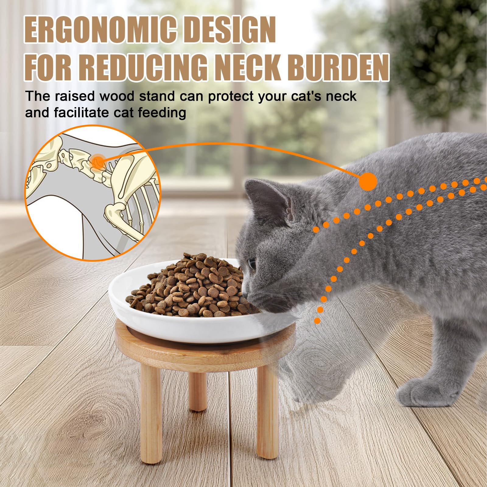 Shallow Elevated Cat Bowls with Bamboo Stand, 5.9 Inch Wide Ceramic Cat Dish Whisker Friendly, 2 Pack Pet Food and Water Plates