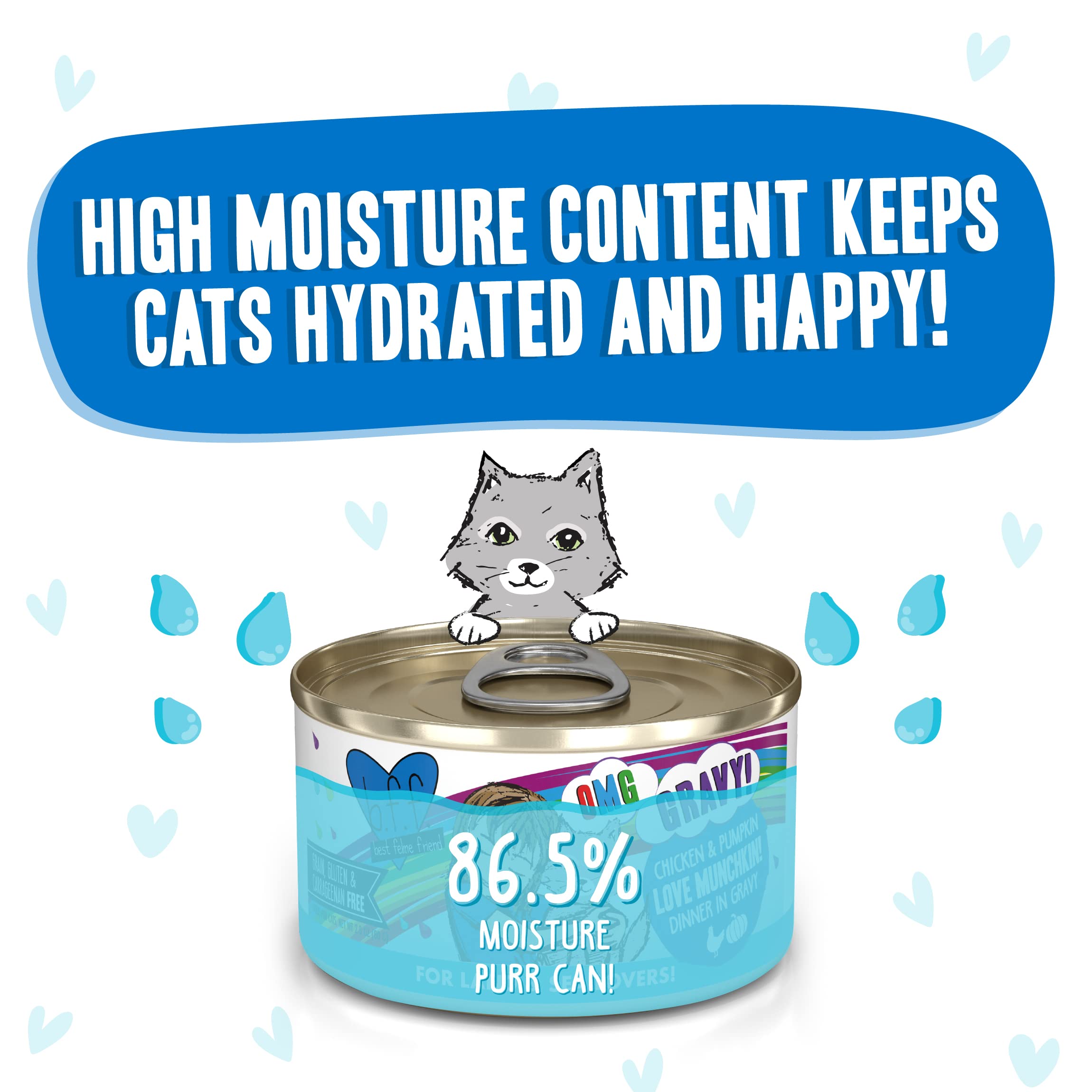 Weruva B.F.F. OMG - Best Feline Friend Oh My Gravy!, Love Munchkin! with Chicken & Pumpkin in Gravy Cat Food, 2.8oz Can (Pack of
