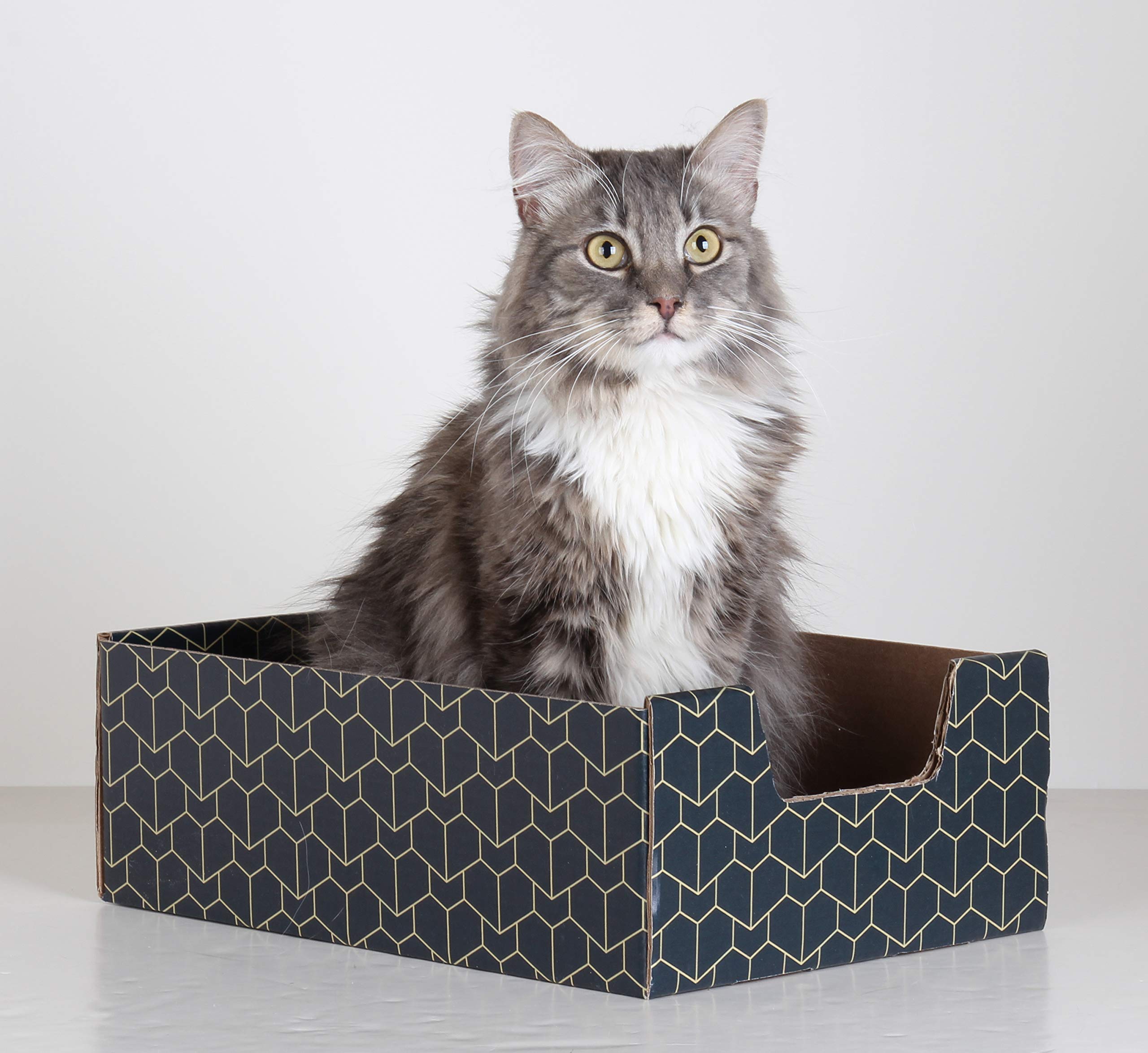 Purrfect Cat Box Lounger With Peek-A-Boo Cutout | Premium Corrugated Cardboard Cat Bed For Relaxation | Interactive Cat Box For Indoor Cats, Blue