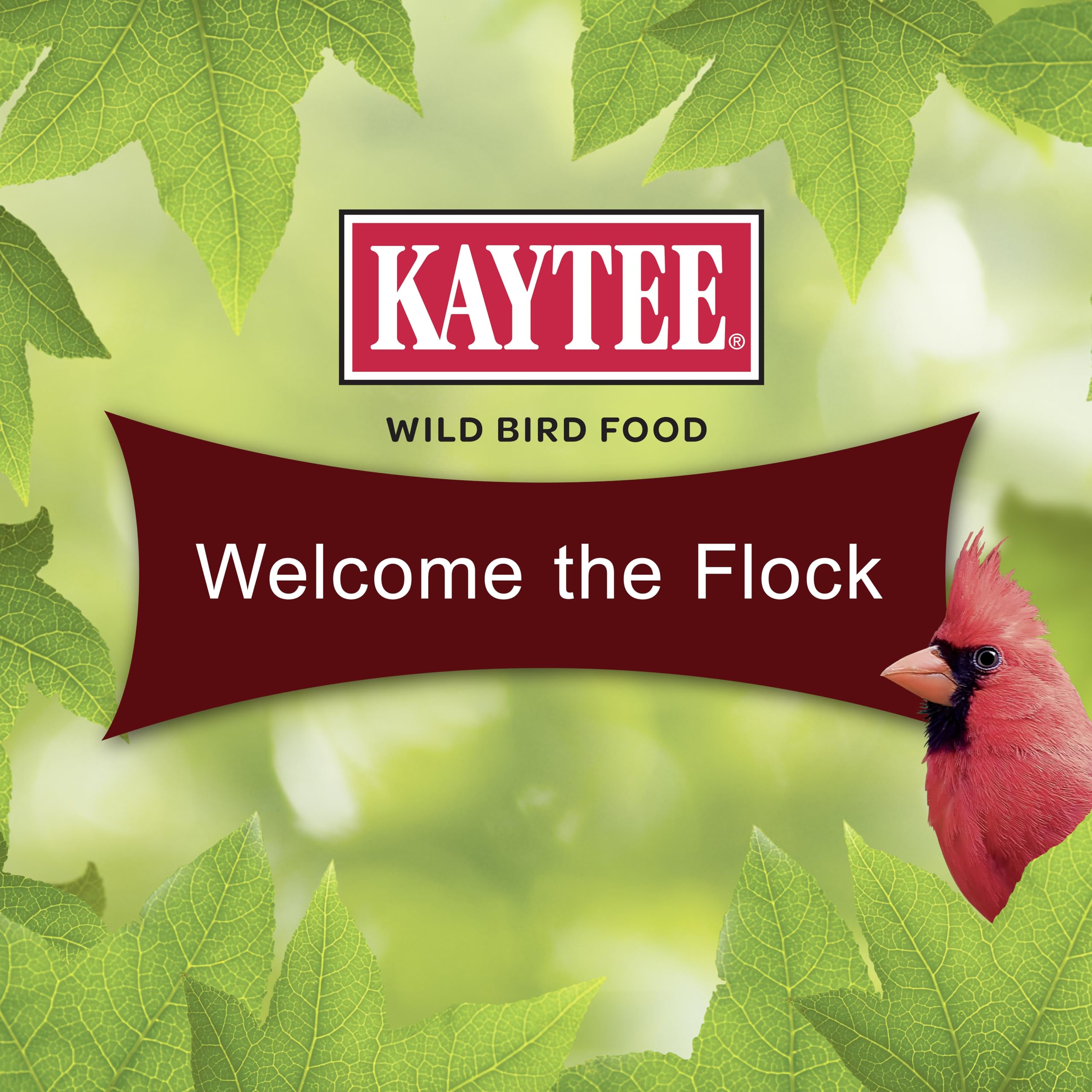 Kaytee Cardinal Wild Bird Seed Cake 1.85 Pounds 4 Count