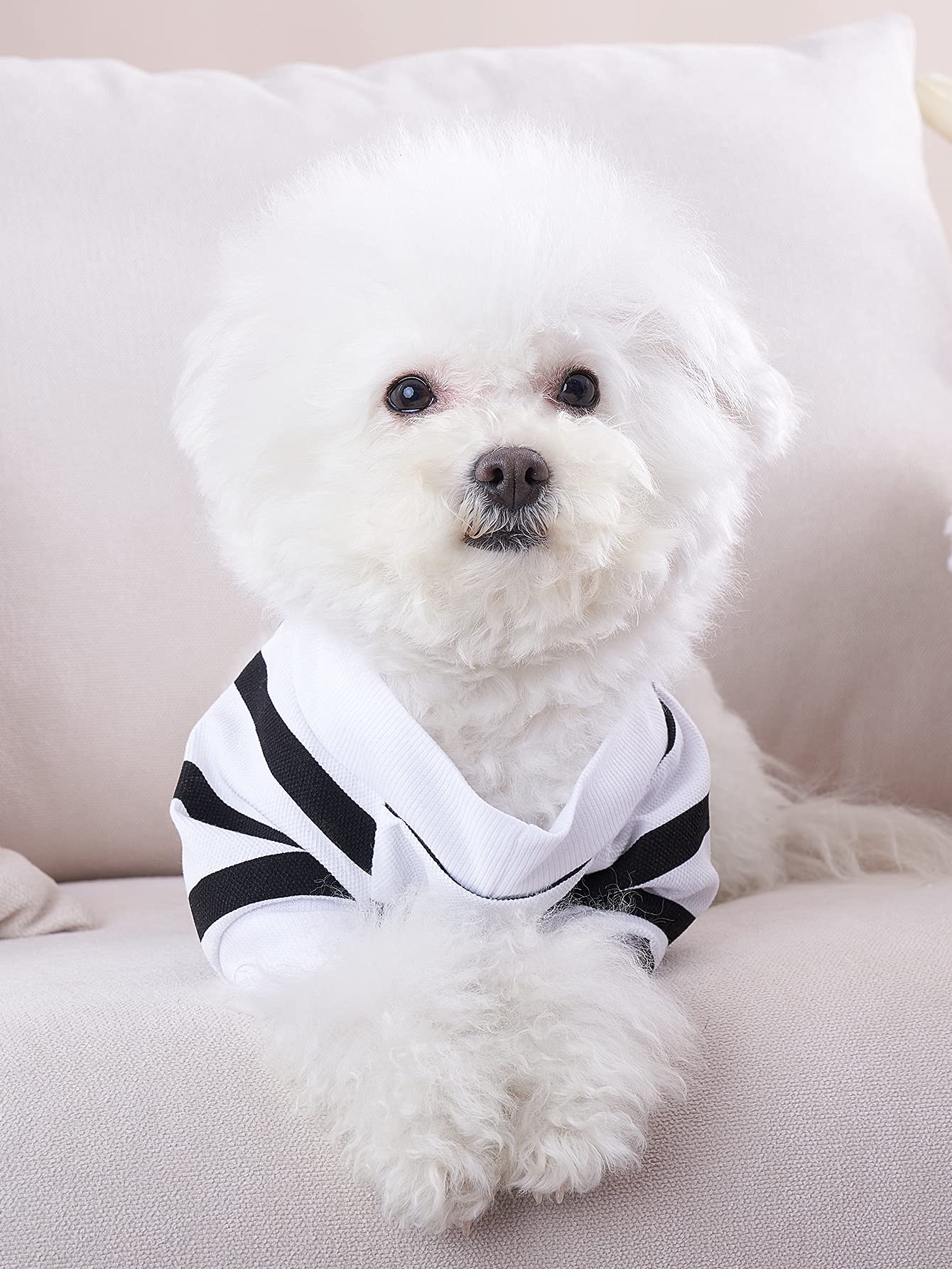 White Dog Shirt For Small Dogs Striped Dogs Shirts For Bulldog Medium Dog Tshirt, Xl, White