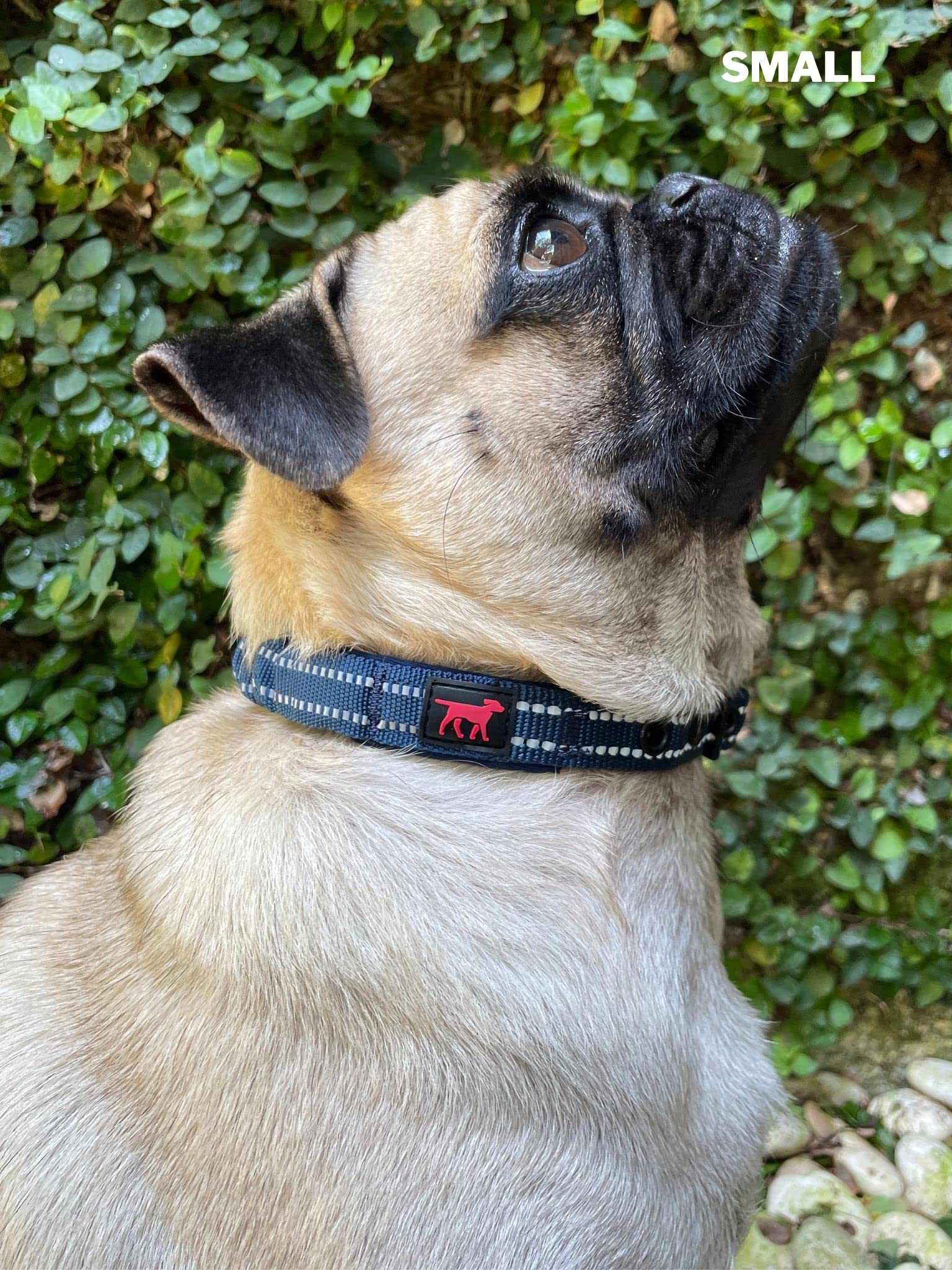Heavy Duty Dog Collar With Handle  Ballistic Nylon Heavy Duty Collar  Padded Reflective Dog Collar With Adjustable Stainless Ste