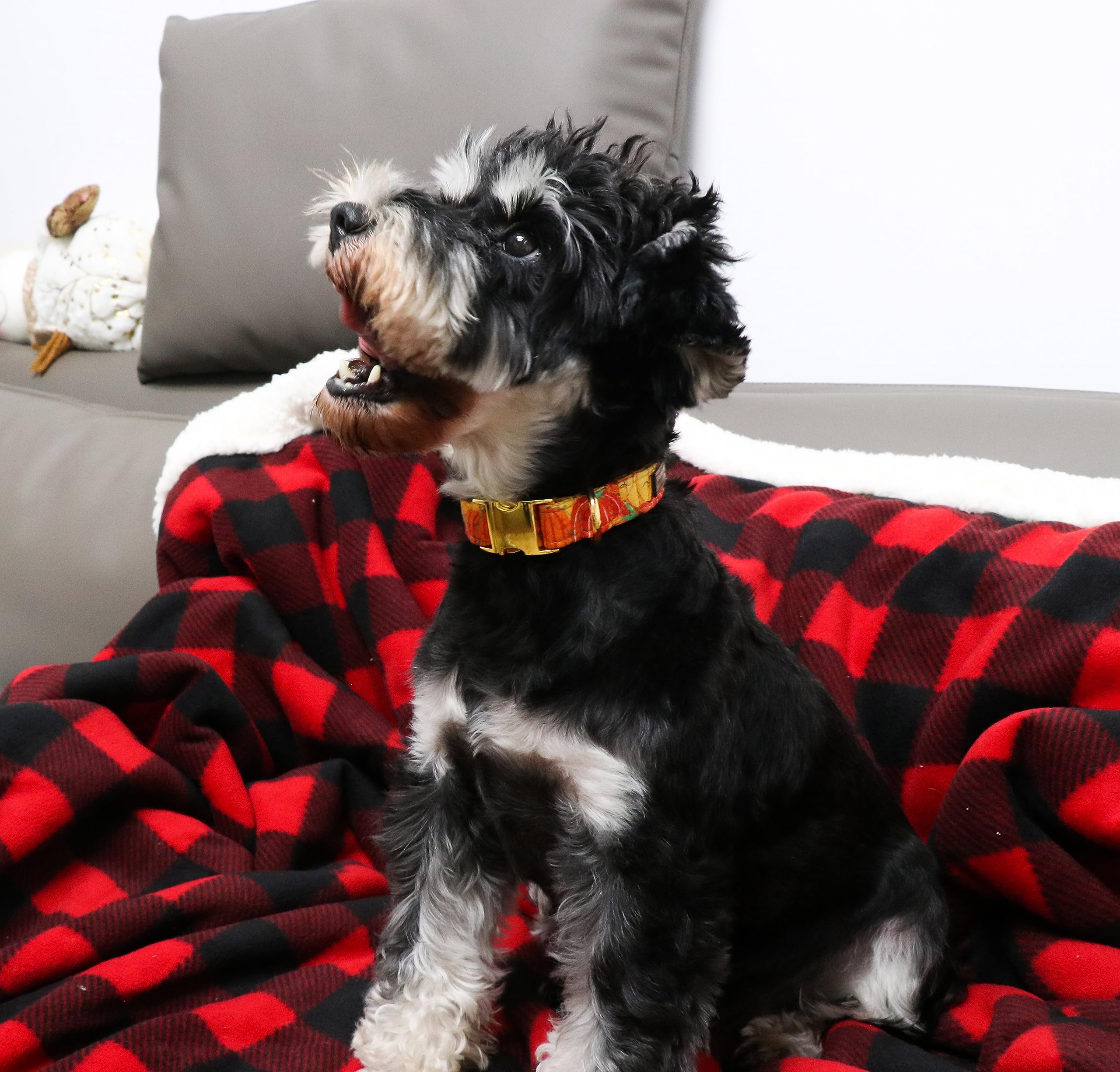 Unique Style Paws Halloween Dog Collar Metal Buckle Orange Pumpkin Collar Gift Durable Cute Collar For Small Medium Large Boys Girls Dogs