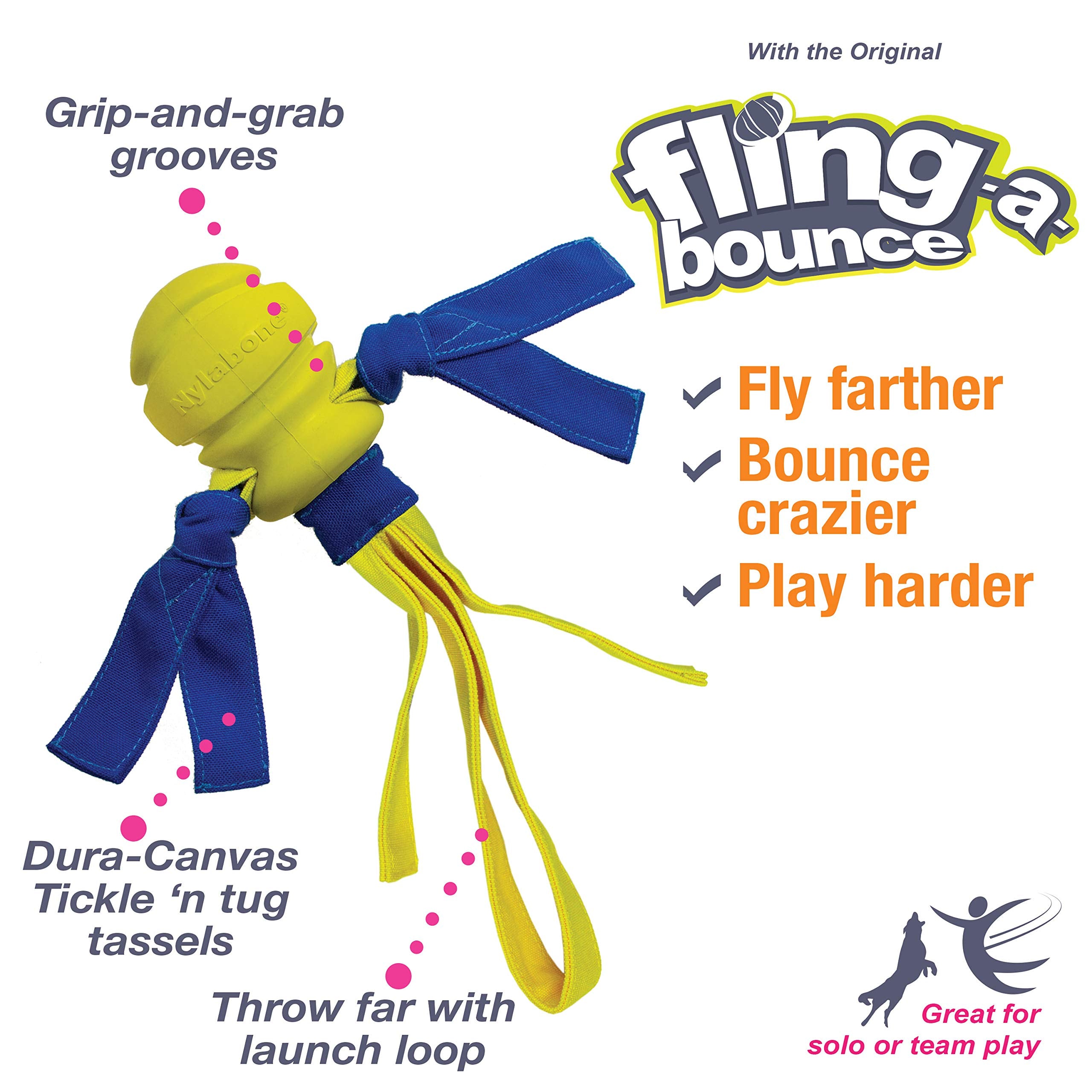 Nylabone Power Play Dog Fetch Toys Fling-A-Bounce Fling-A-Bounce Large (1 Count)