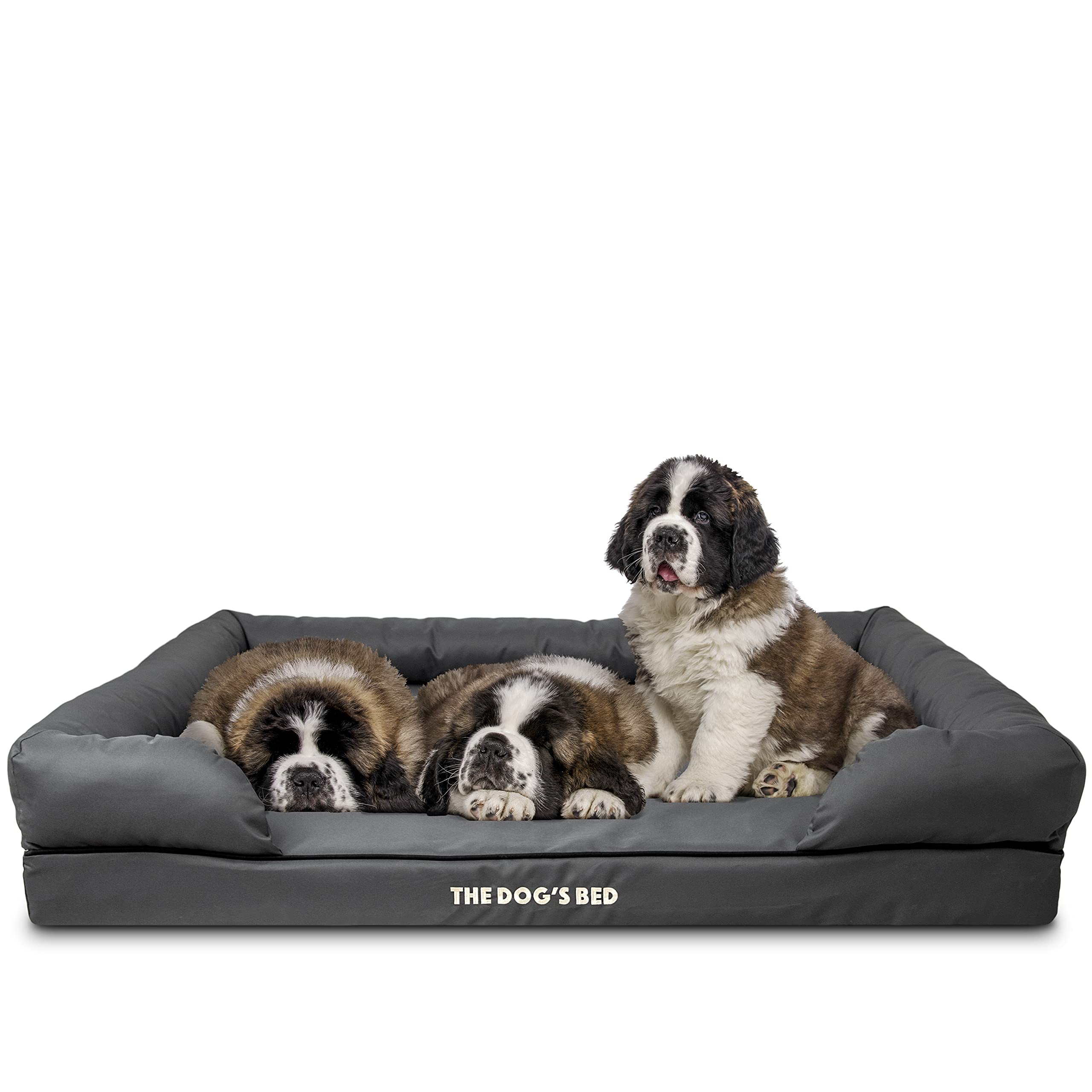 The Dogs Bed, Dog Bed XXL Grey 51.5x39, Memory Foam, Pain Relief: Arthritis, Hip & Elbow Dysplasia, Post Surgery, Lameness, Supp
