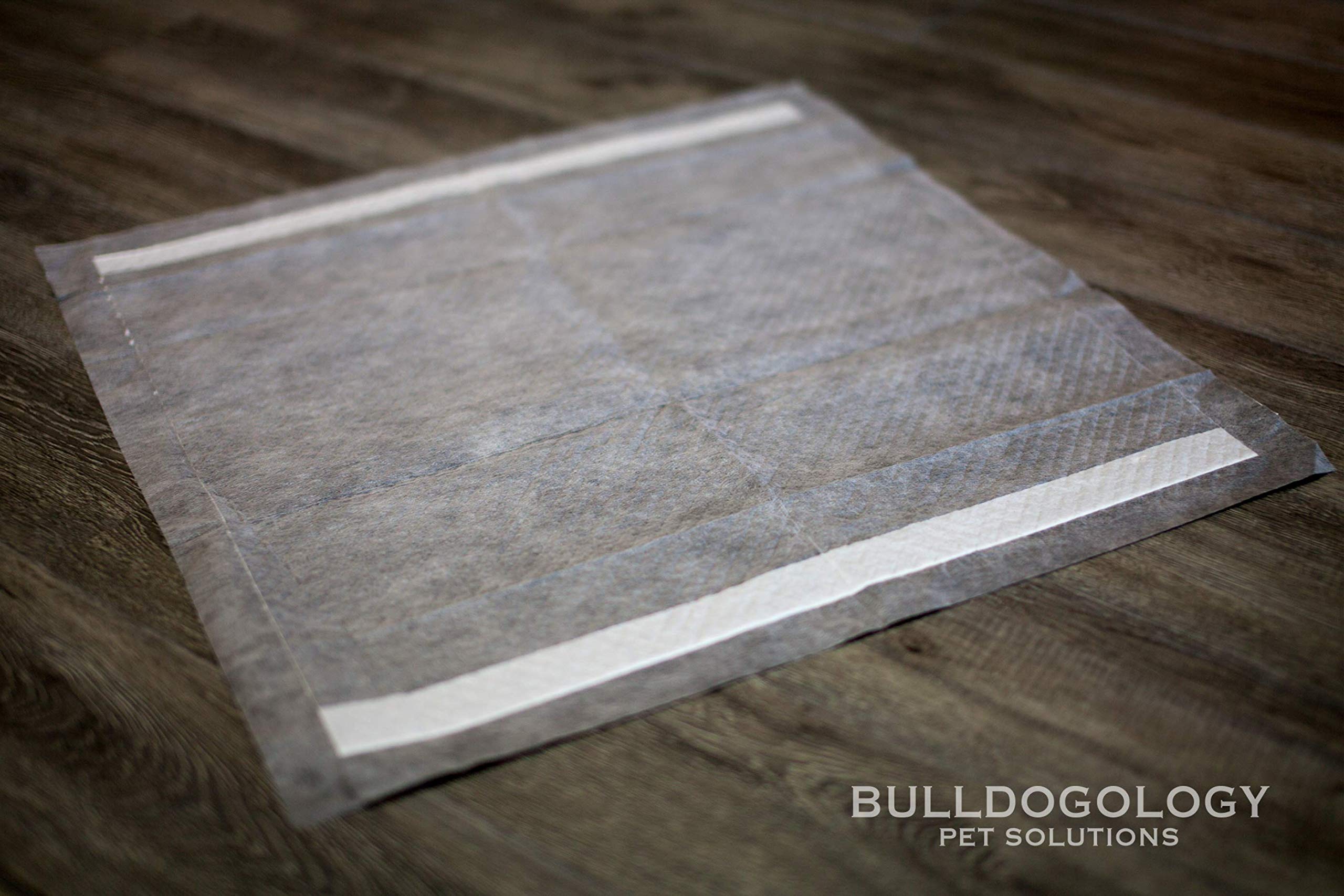 Bulldogology Puppy Pee Pads - 24x24 Charcoal Housebreaking Pads with Adhesive - 50-Count, 6 Layers, Quick Dry Technology