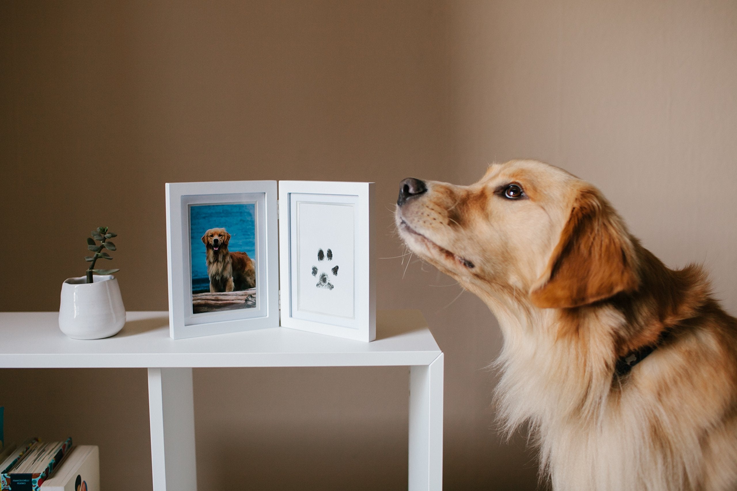 Pearhead Pet Pawprints Desk Picture Frame, Pet Memorial Keepsake, White Photo Frame For Pet, Imprint Kit
