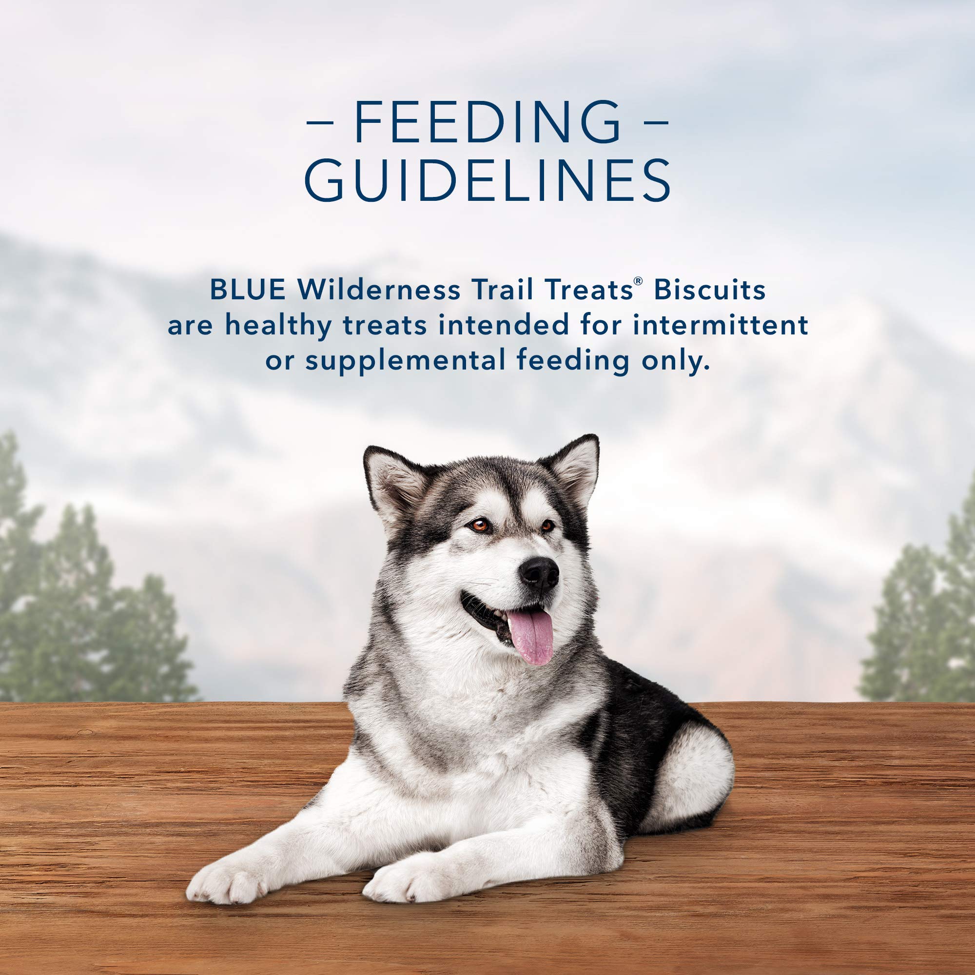 Blue Buffalo Wilderness Trail Treats, High Protein Grain Free Dog Biscuits, Turkey Recipe, 36 oz Box