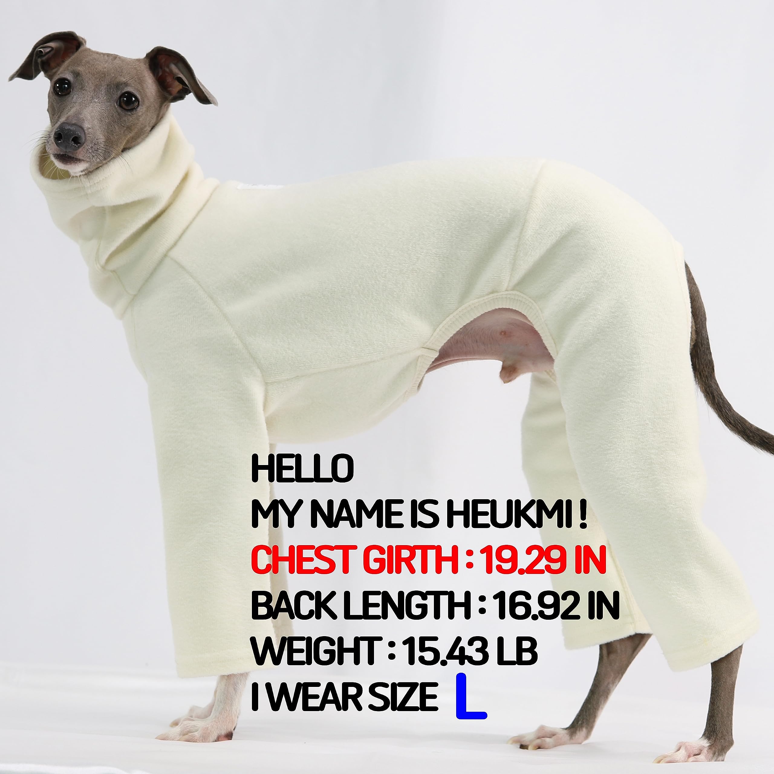 D Doggy Star Italian Greyhound Clothes Sweater Fleece Basic Onesie Whippet For Dog Turtleneck Outfits Coat (3Xl,Flce Ivory)