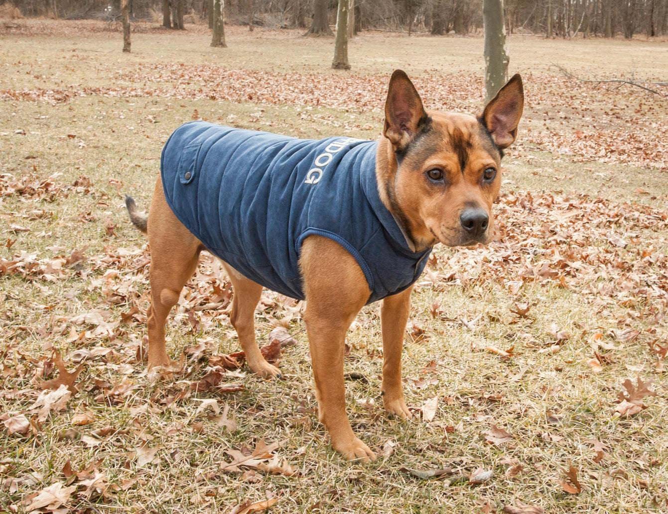 TOUCHDOG 'Waggin Swag' Fashion Designer Reversible 3M Insulated Pet Dog Coat Jacket, Medium, Blue / Grey