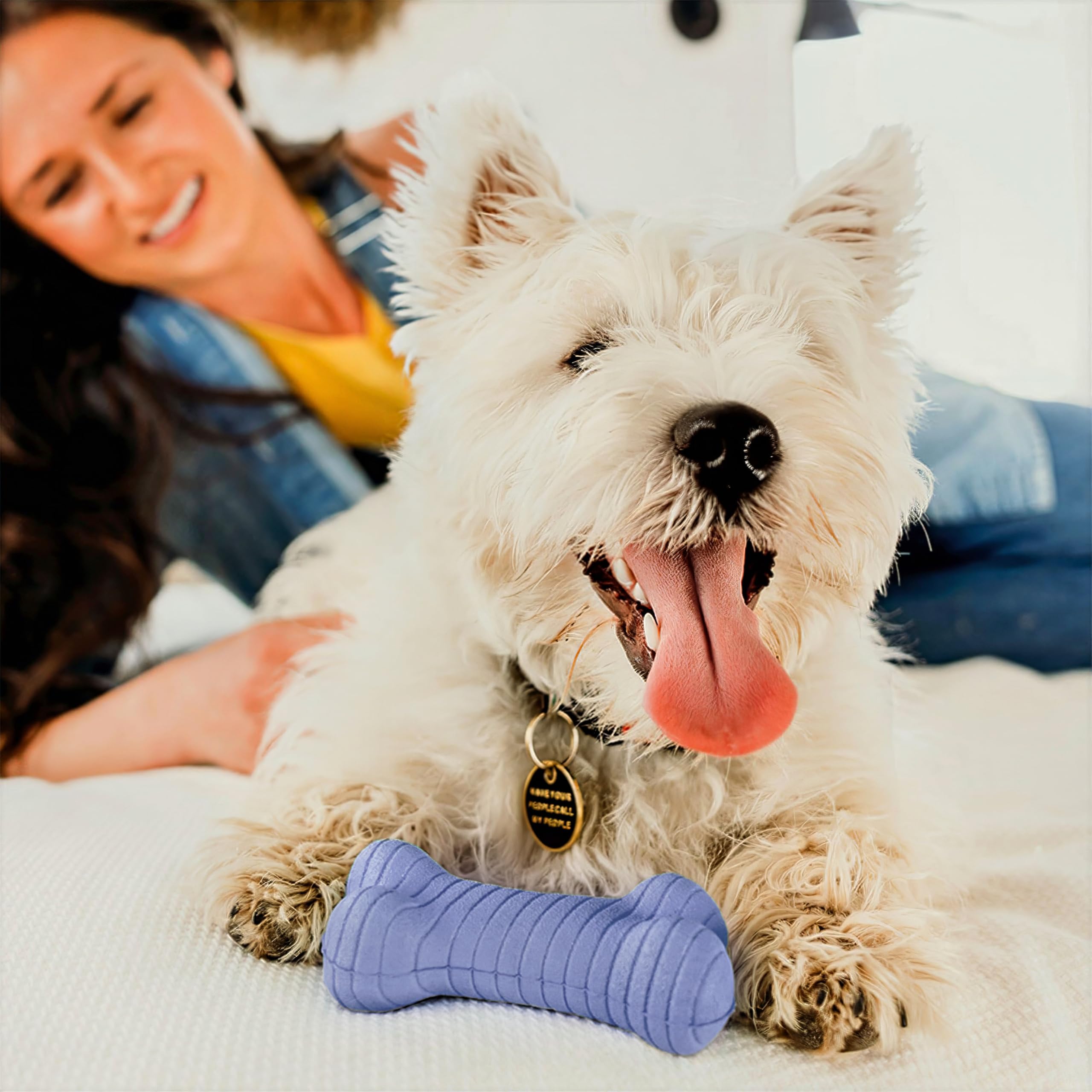 Playology Dog Toys | Dual Layer Bone Durable Chew Toy Bone for Dogs | Medium Blueberry Scented Toy - Easy to Clean and Made from