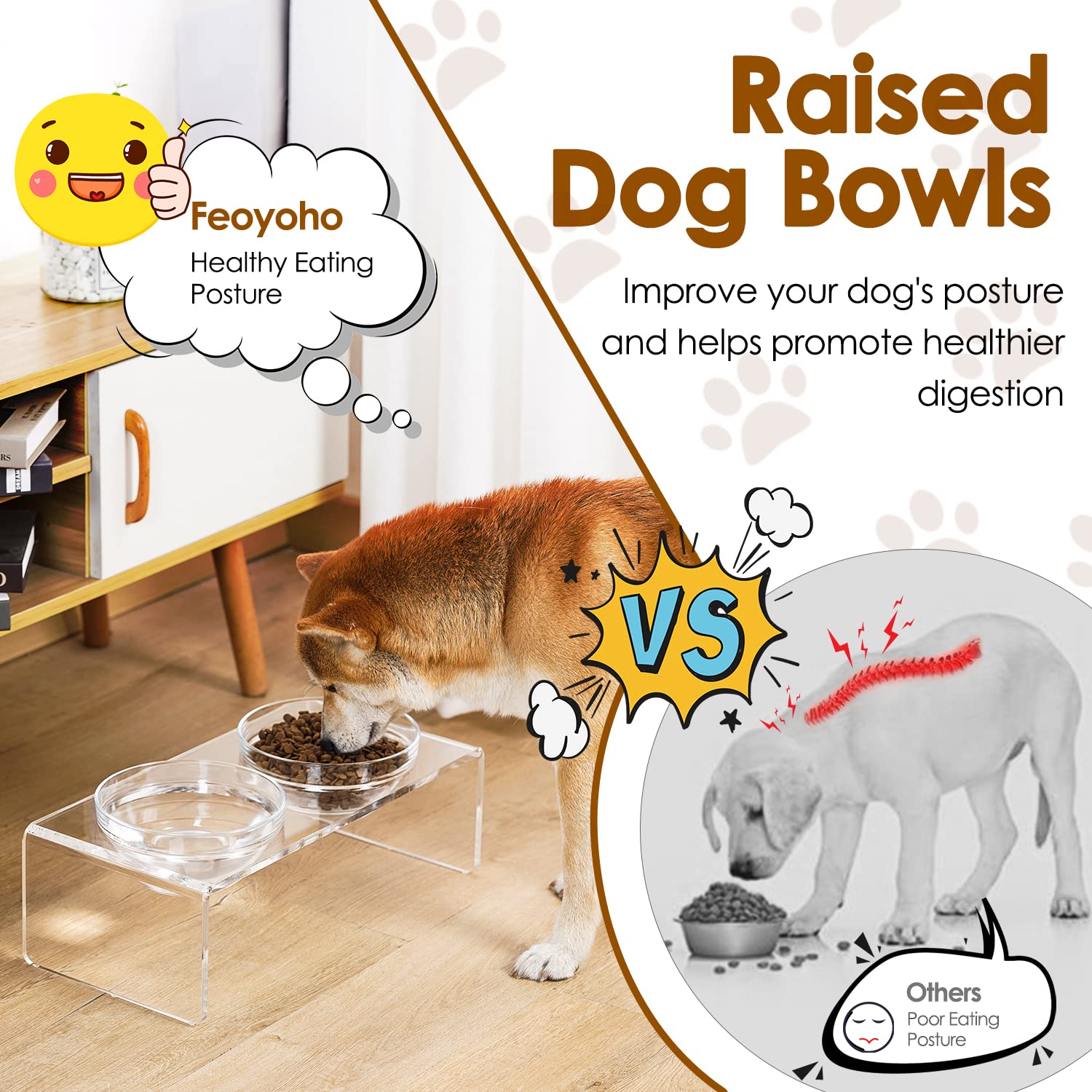Feoyoho Acrylic Elevated Dog Cat Bowls - Double Bowl Feeder with 2 Glass & 2 Stainless Steel Bowls, Medium 5.5" Height, Clear