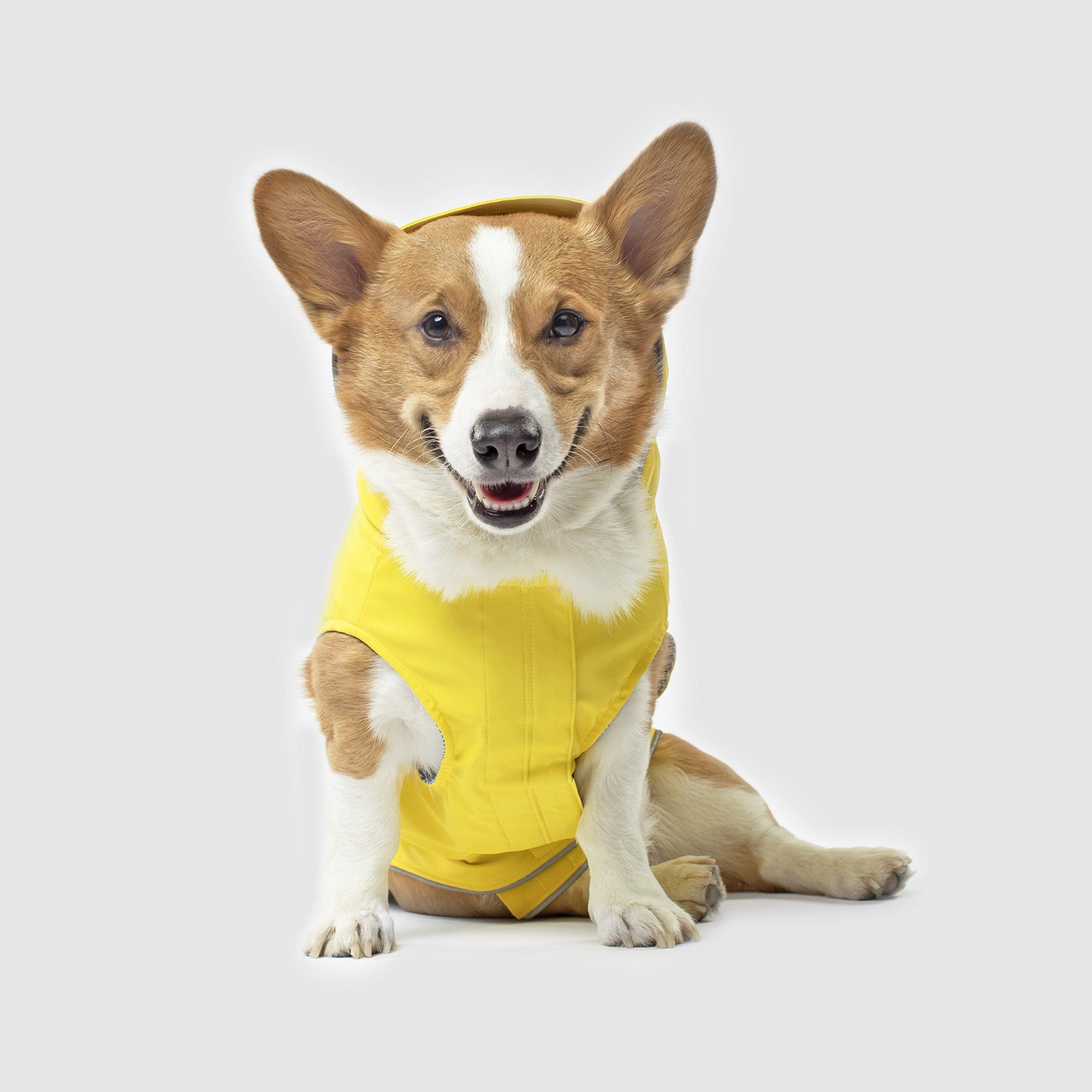 Canada Pooch Yellow Dog Torrential Tracker, X-Small