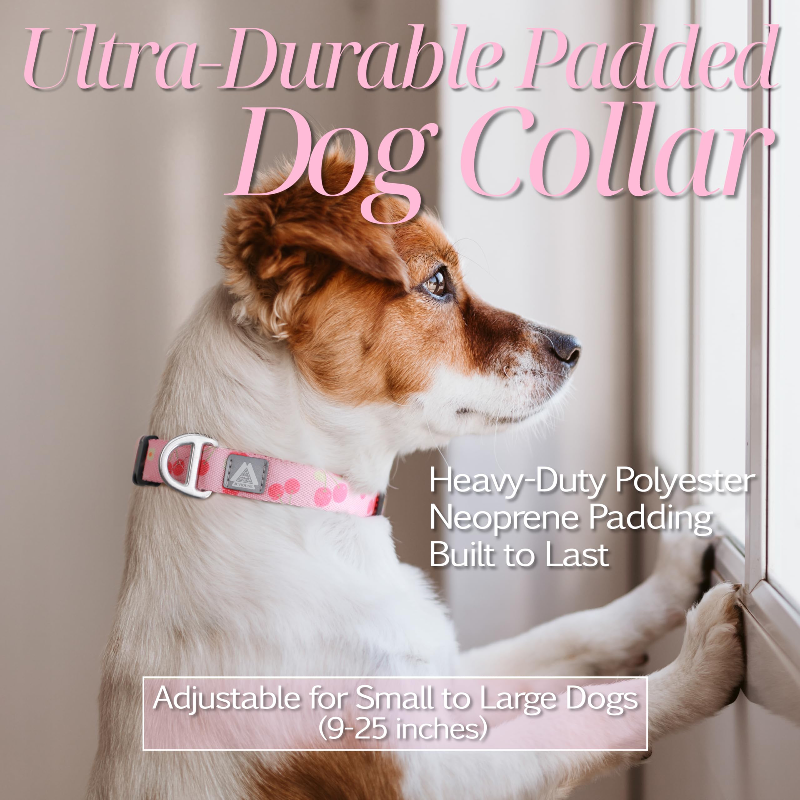 Jc House Small Dog Collar With Reflective Logo And Soft Padded Neoprene,Pink Cherry Design, Adjustable,Lightweight & Durable, Ne
