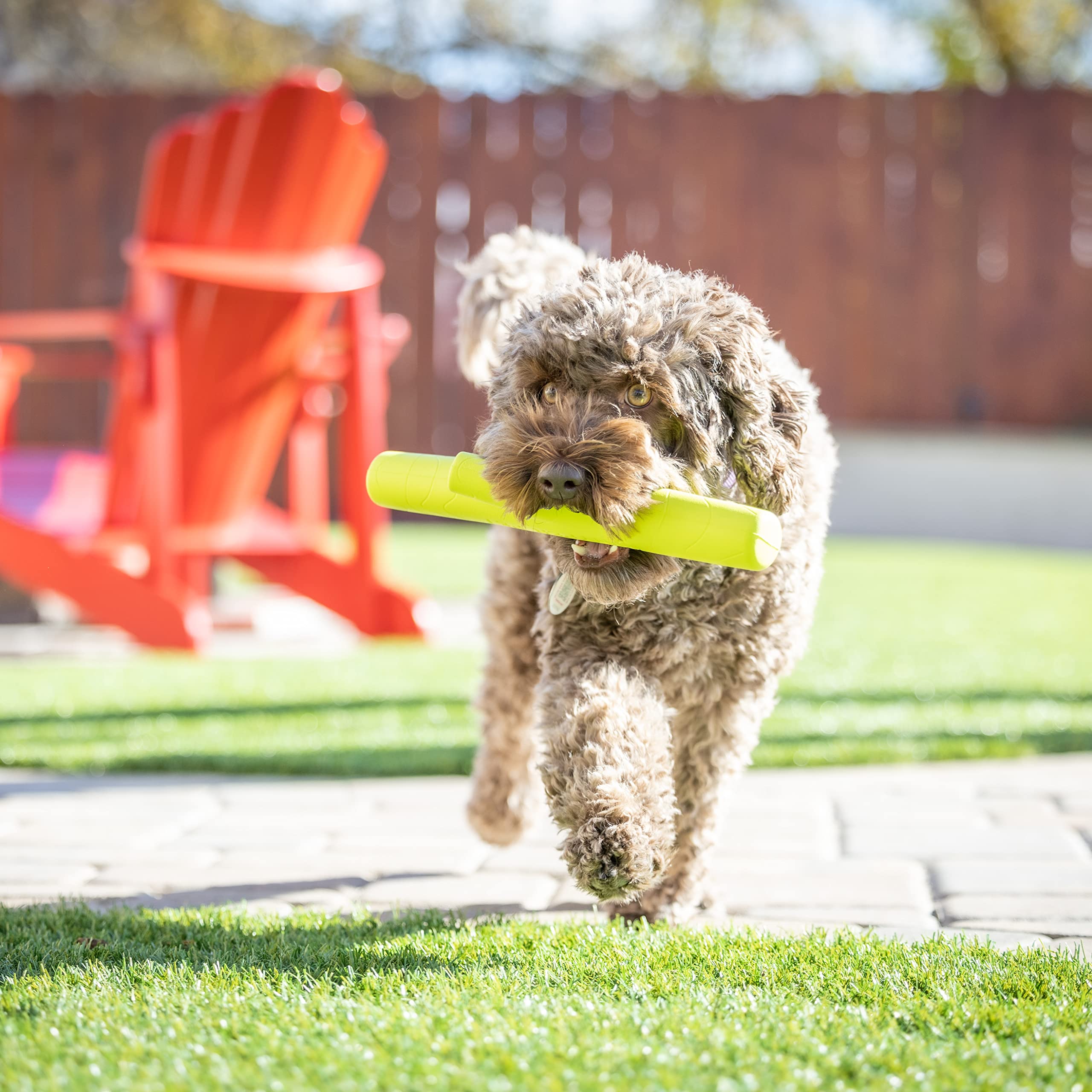 Hyper Pet Fetching Dog Toys - Throwing Stick Dog Toy Made With Eva Foam - Easy To Clean & Floats On Water