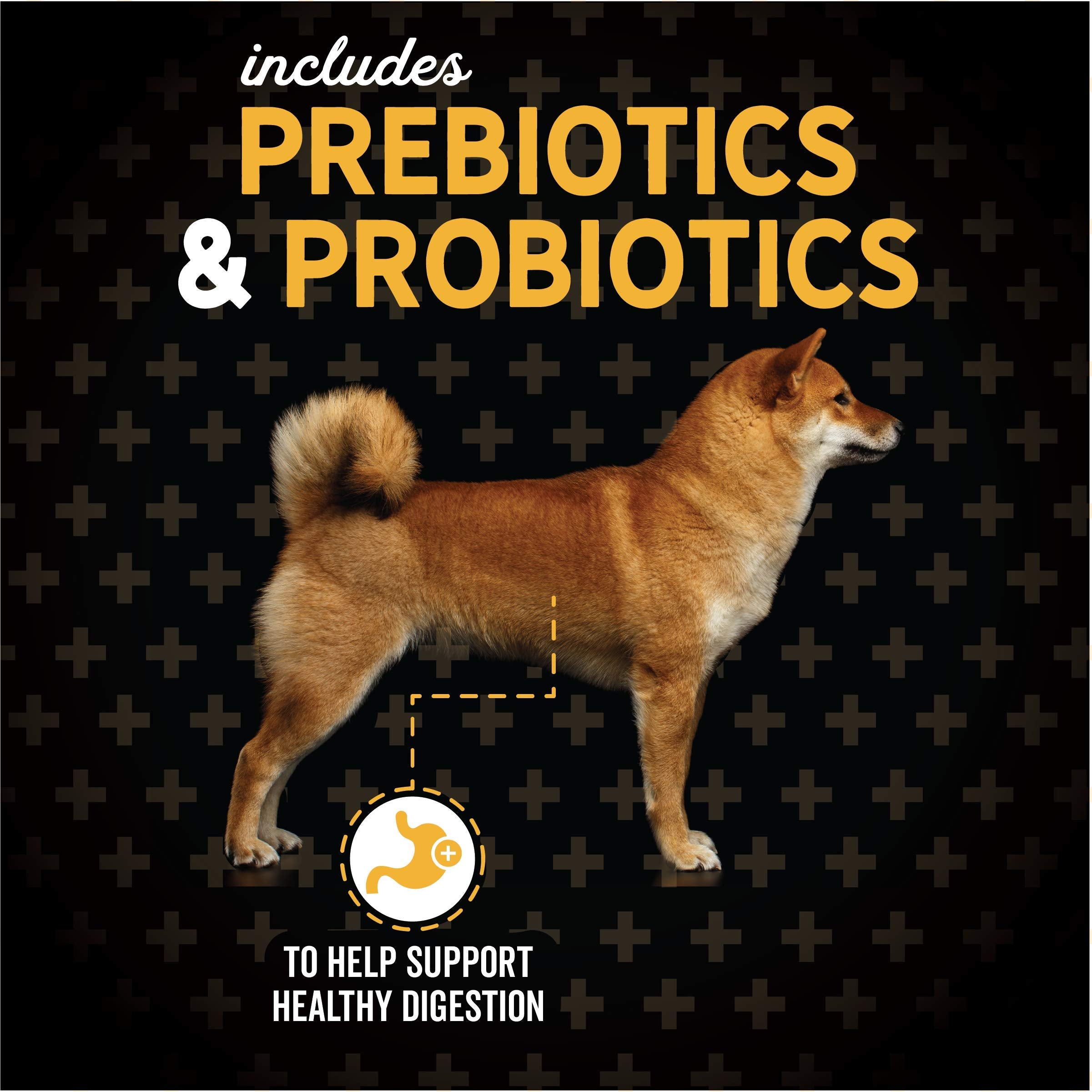 Evolve Grain Free Deboned Turkey & Sweet Potato Recipe Dog Food, 13 lb.