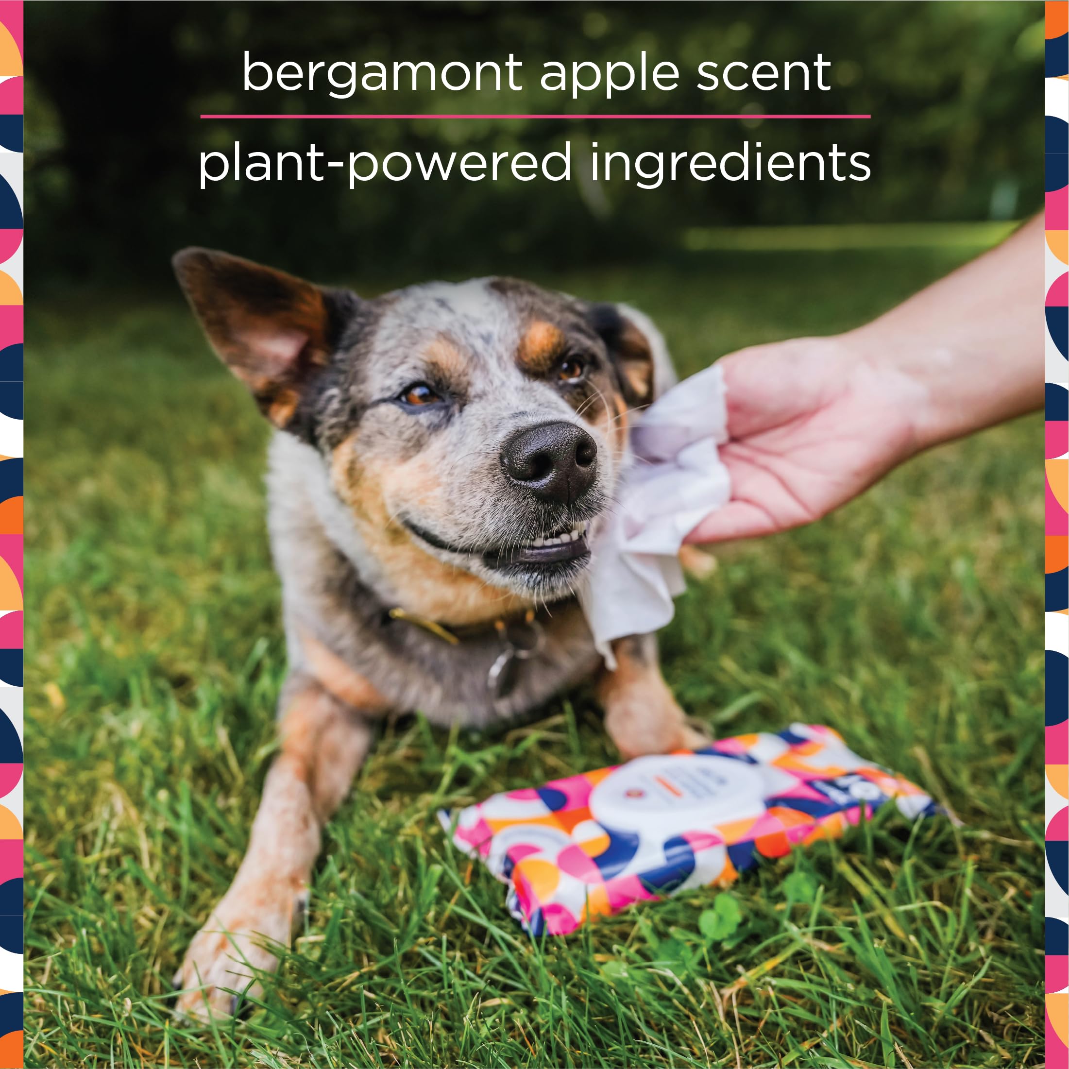 Pl360 Dog Grooming Wipes For Cleansing & Deodorizing | Pet Wipes For Dogs, Cats, Puppies & Kittens | Mandarin Scent | Eco Friendly, Natural And Safe Ingredients | 40 Count