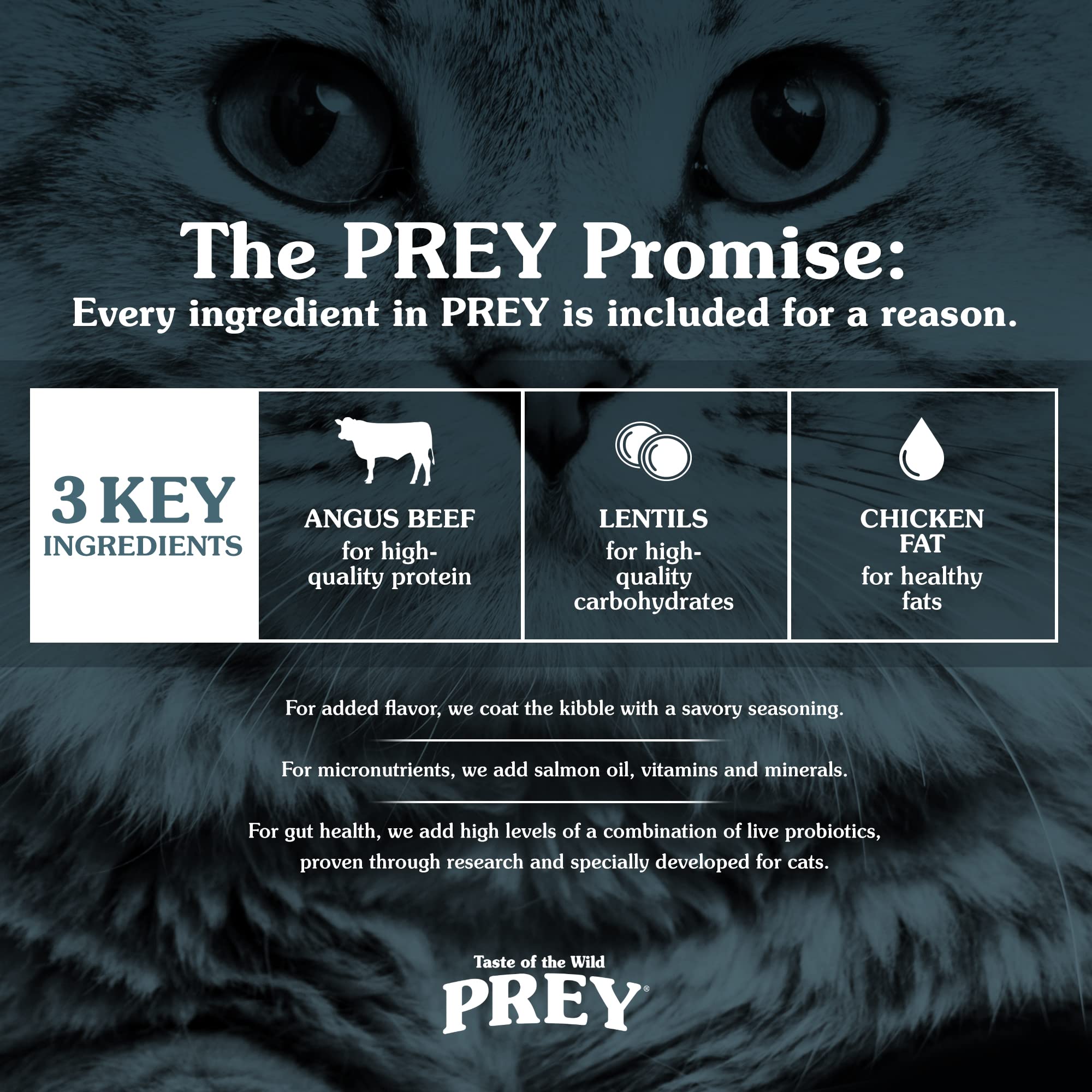 Taste of the Wild PREY Real Meat High Protein Angus Beef Limited Ingredient Dry Cat Food Grain-Free Recipe Made with Real Pastur