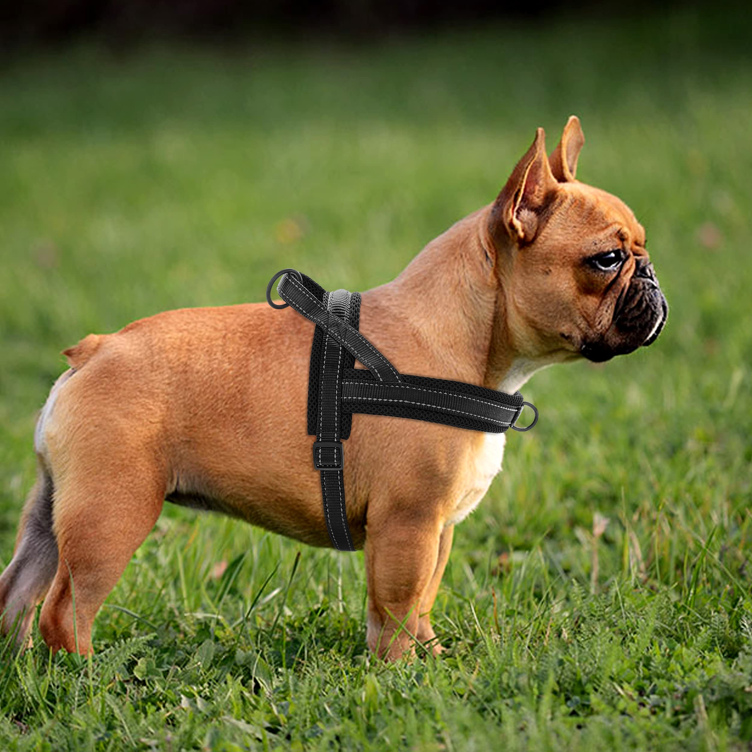 Didog Soft Mesh Padded Dog Vest Harness,Escape Proof/Quick Fit Reflective Dog Strap Harness, Easy For Training Walking (Xs:Chest 15-18', Mesh-Black)