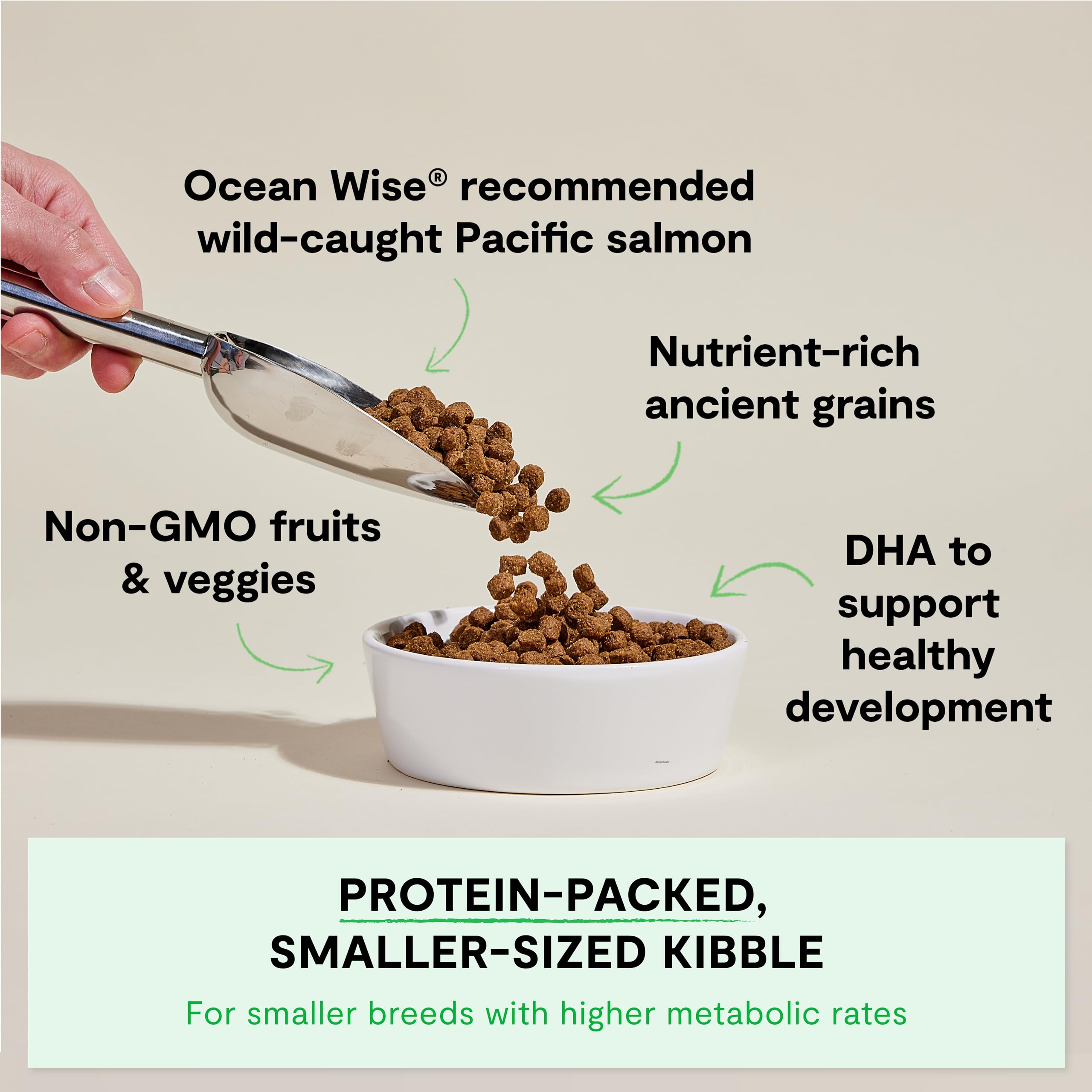 Open Farm, Ancient Grains Dry Dog Food for Puppies, Protein-Rich & Nutrient Dense, 90% Animal Protein Mixed with Non-GMO Fruits,