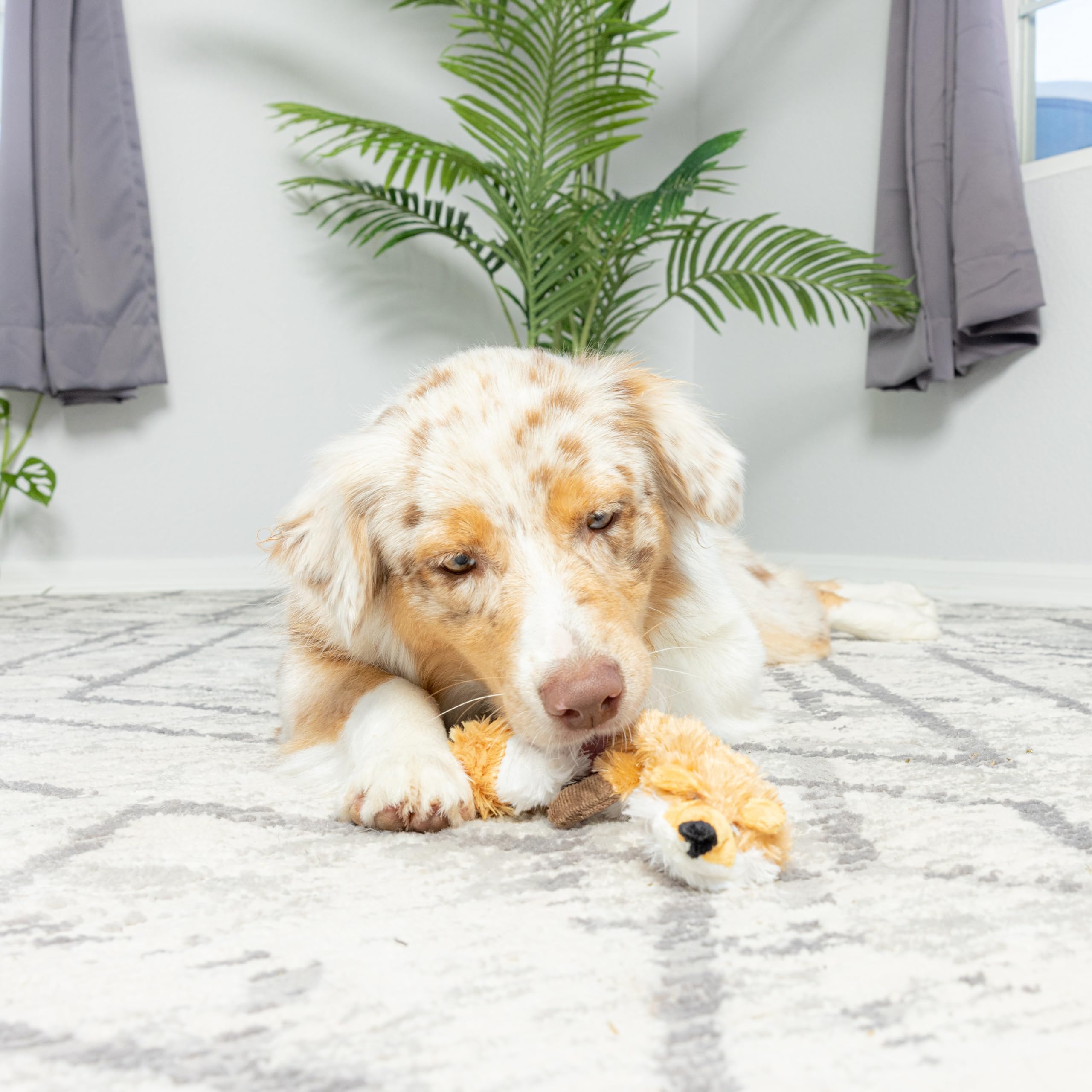 Spot Skinneeez Extreme Quilted Fox - Durable, Stuffing Free Dog Toy With 4 Layers Of Diamond Stitched Fabric & 2 Squeakers- Ideal For Medium And Large Aggressive Puppies And Dogs- 23In