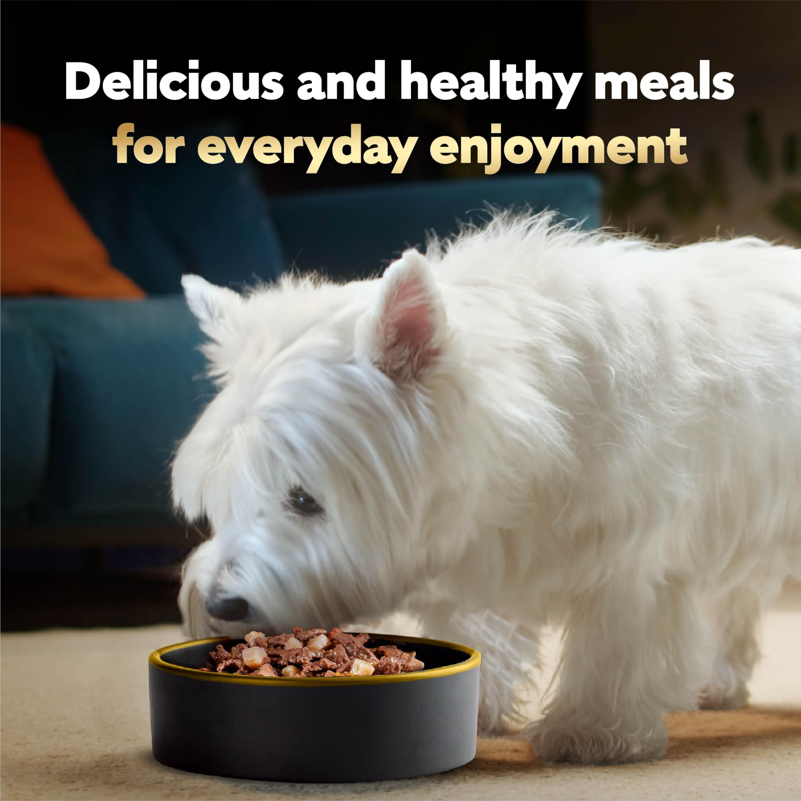 Cesar Home Delights Adult Wet Dog Food, Pot Roast with Spring Vegetables Dinner in Sauce, 3.5 oz. (24 Count, Pack of 1)