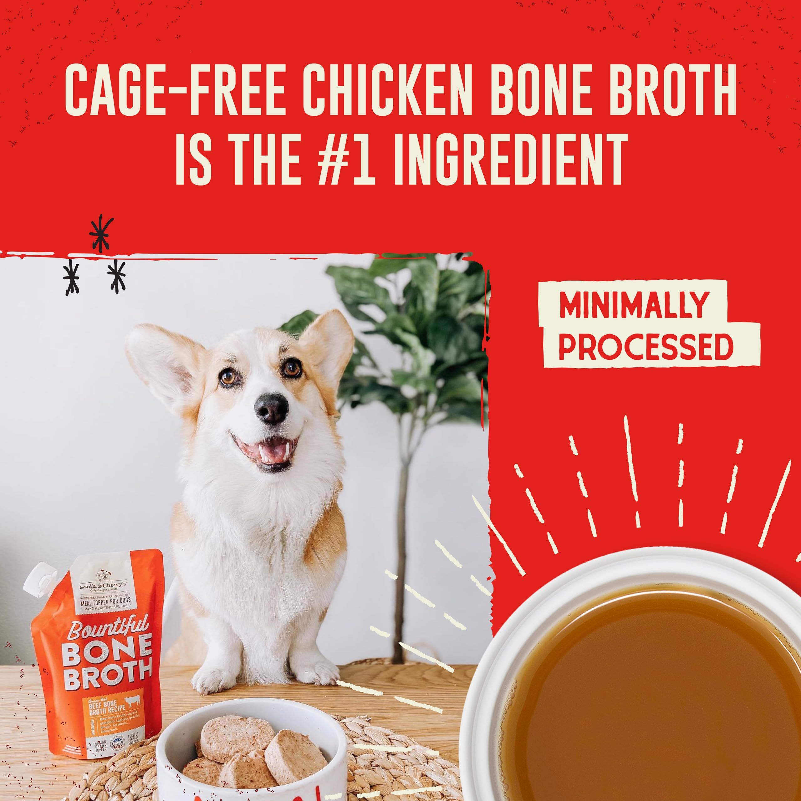 Stella & Chewys Bountiful Bone Broth Cage-Free Chicken Recipe Meal Topper for Dogs, 16 Oz. Resealable Pouch