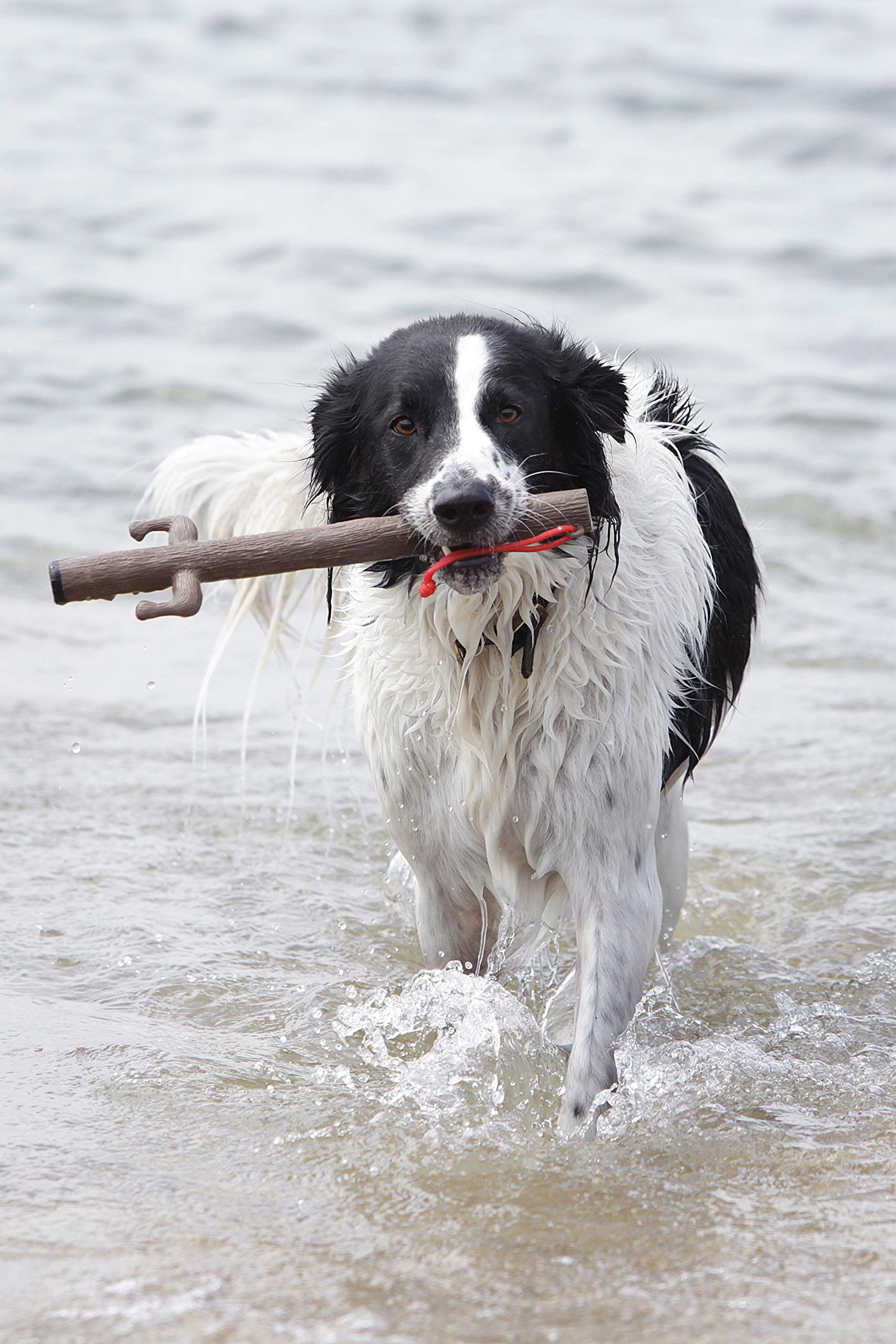 DOOG - The Supersticks Tree-Mendous Twig Fetch Toys Safer Than Real Sticks, Splinter Free, Glow-in-The-Dark Eyes, Floats, Easy t