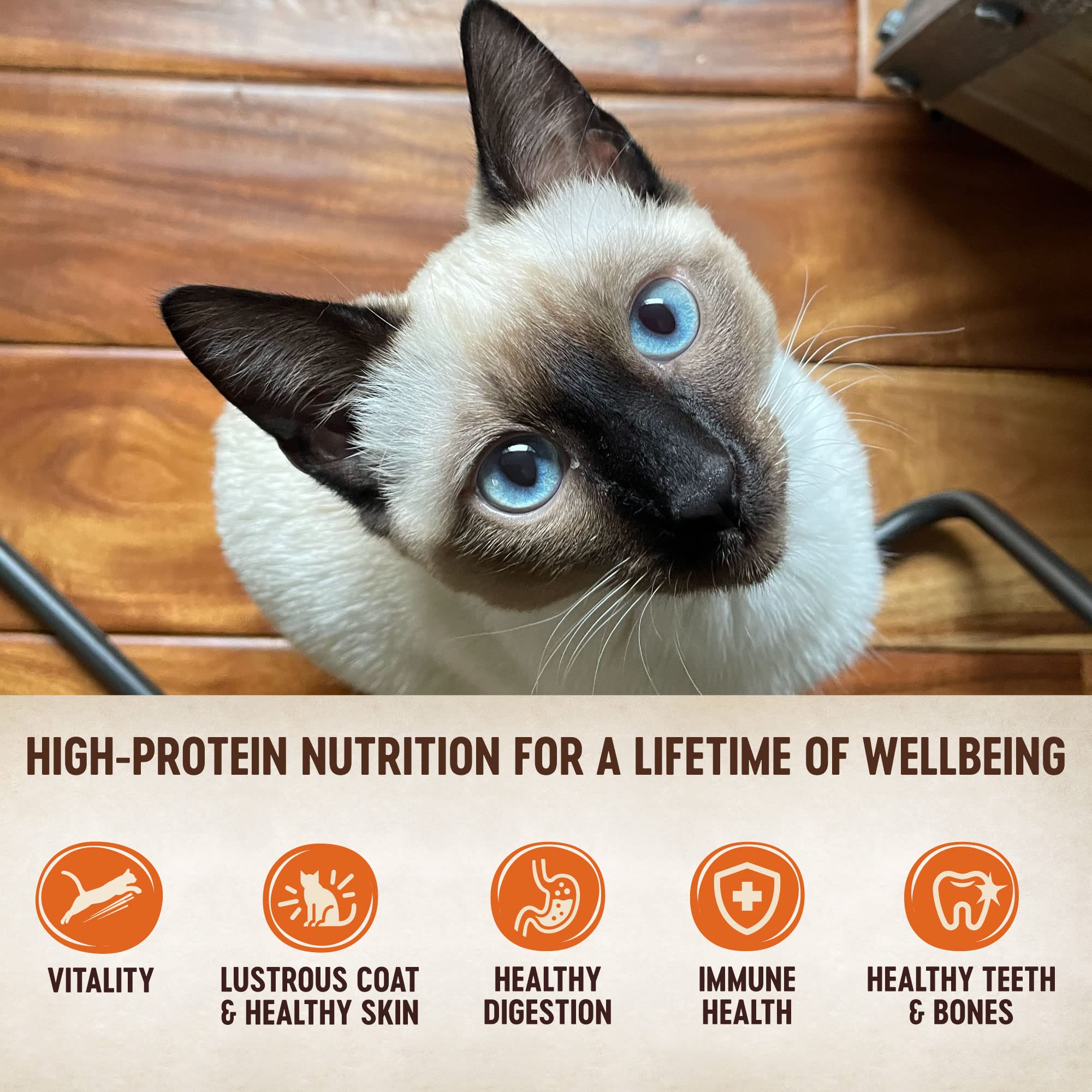 Wellness Pet Products Cat - Can - Turkey - Chicken - Signature Selects - Case of 12 - 2.8 oz (12x2.8 OZ)