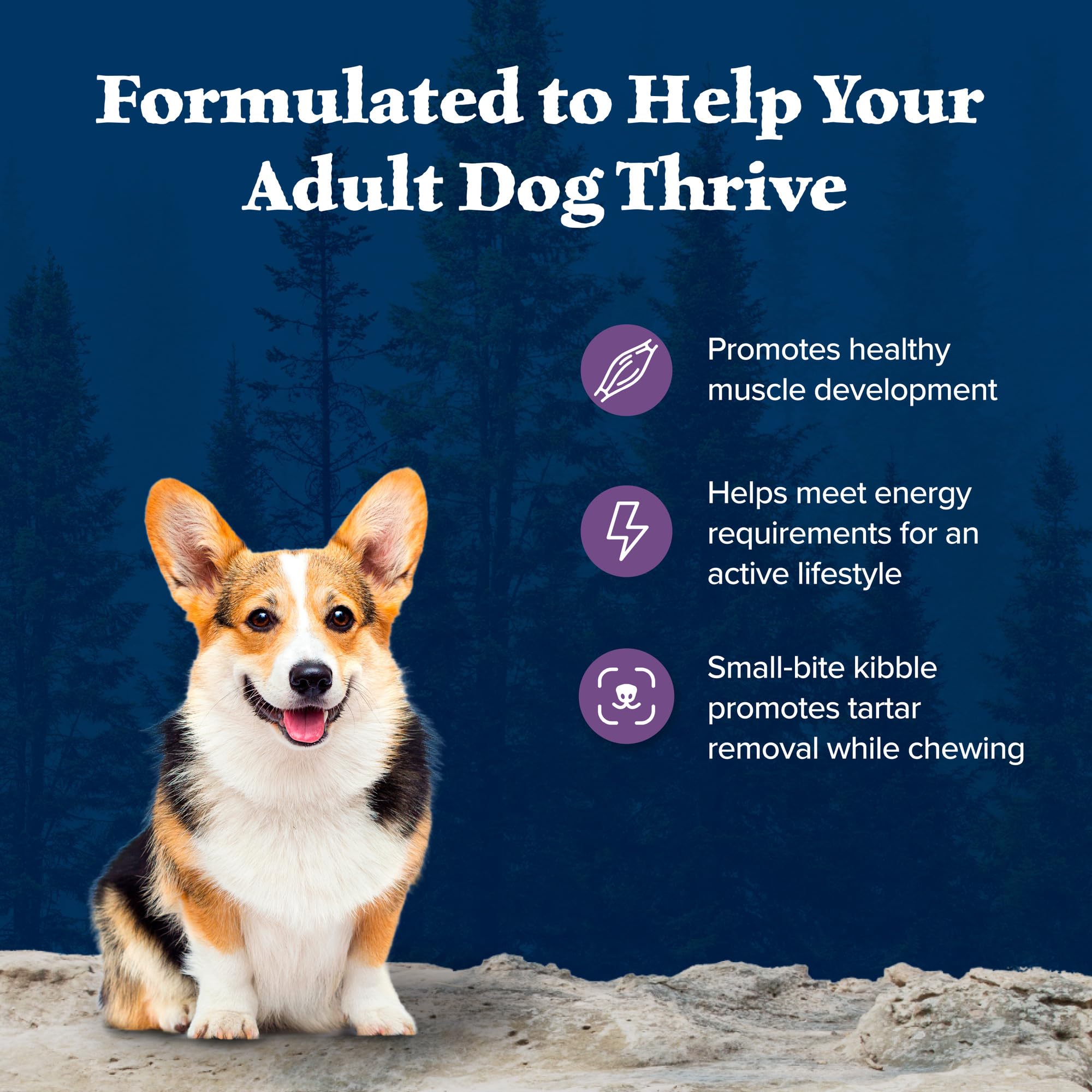 Blue Buffalo Wilderness High-Protein Small-Bite Dry Dog Food for Adult Dogs, Made in The USA with Natural Ingredients Plus Whole