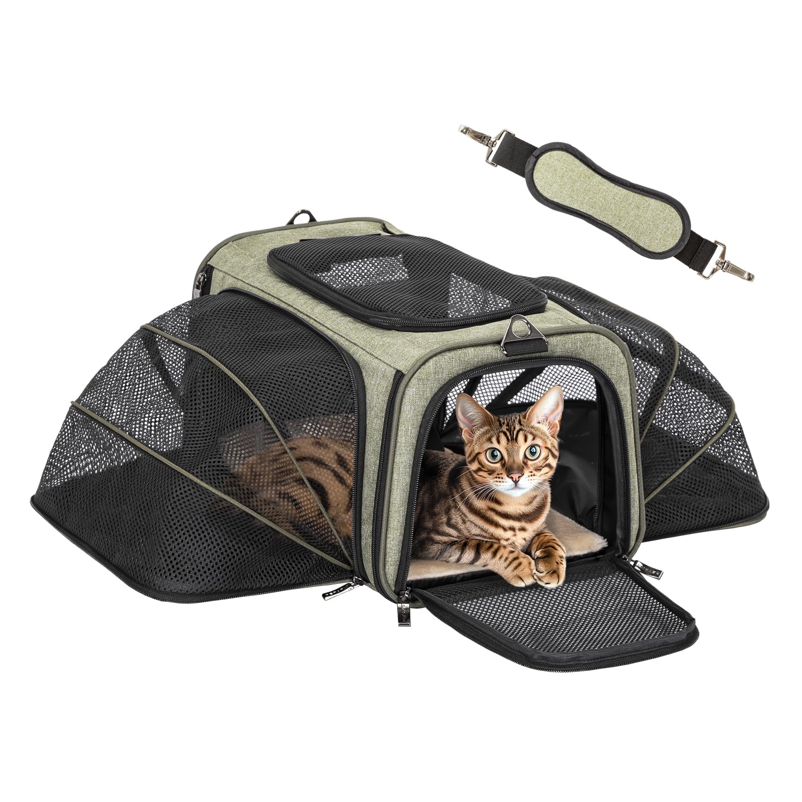 Petsfit Airline Approved Expandable Large Cat Carrier Small Dog Carrier, 17'' X 11'' X 11'' Collapsible Portable Soft-Sided Airp