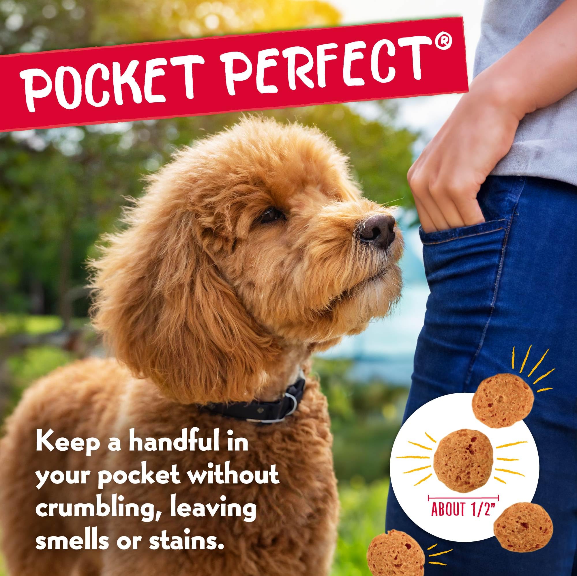 Charlee Bear Dog Training Treats for Small, Medium & Large Breeds, Crunchy Low Calorie Grain Free Dog Treats, USA Made, Three Fl