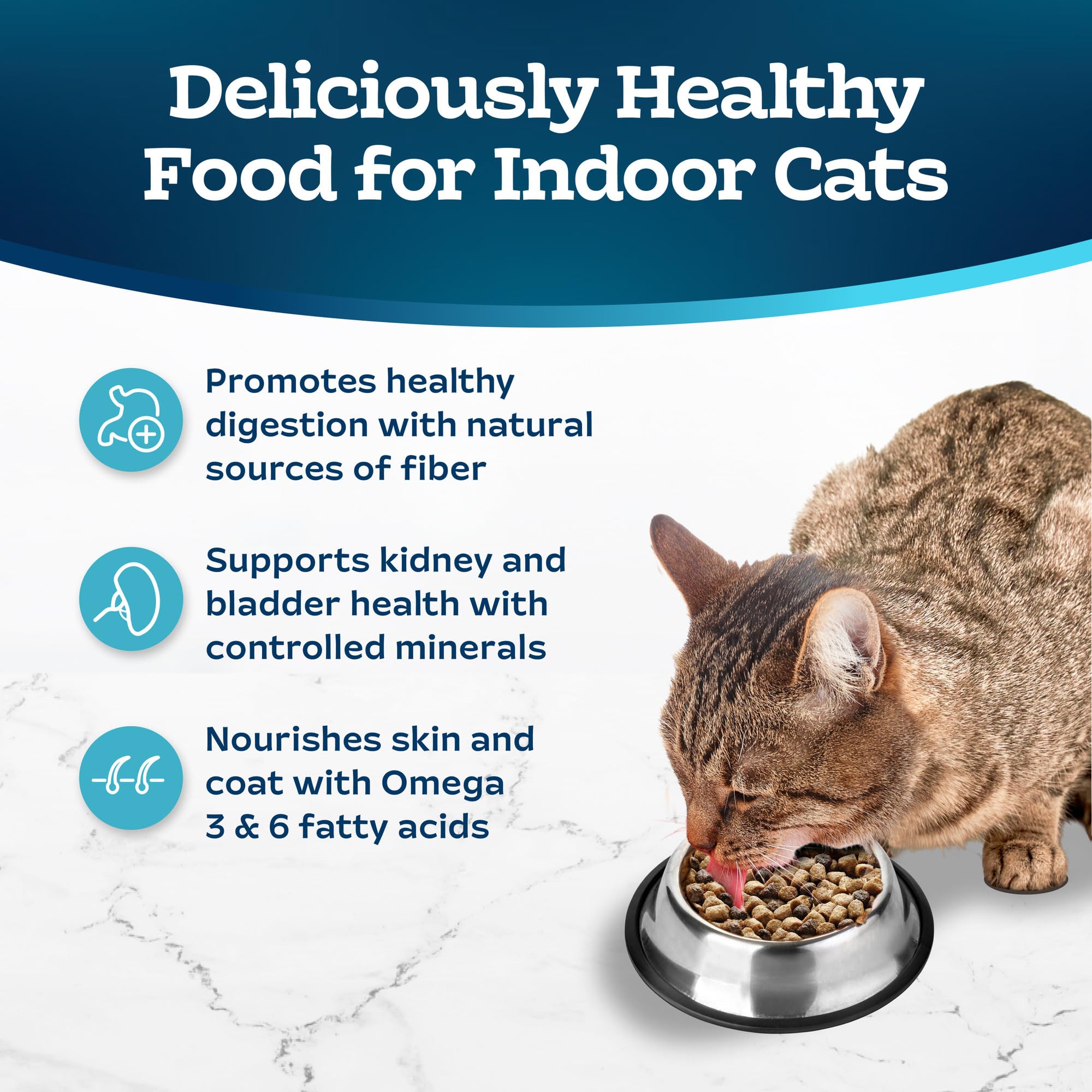 Blue Buffalo Tastefuls Natural Dry Food for Adult Indoor Cats, Salmon & Brown Rice Recipe, 5-lb. Bag