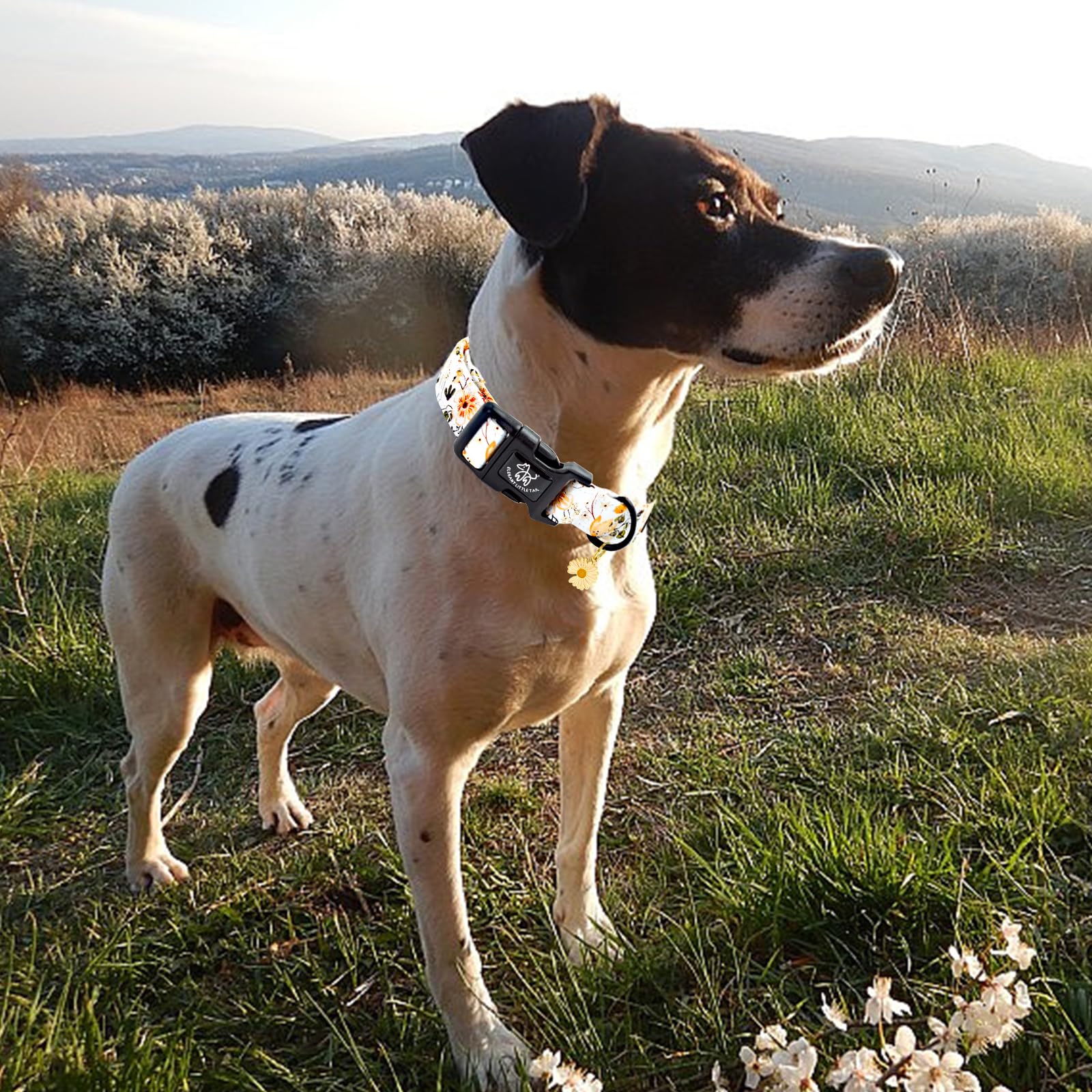 Elegant Little Tail Dog Collar,Flower Pattern Pet Collar Cute Durable Spring Female Or Male Adjustable Cotton Pet Collar With Qu