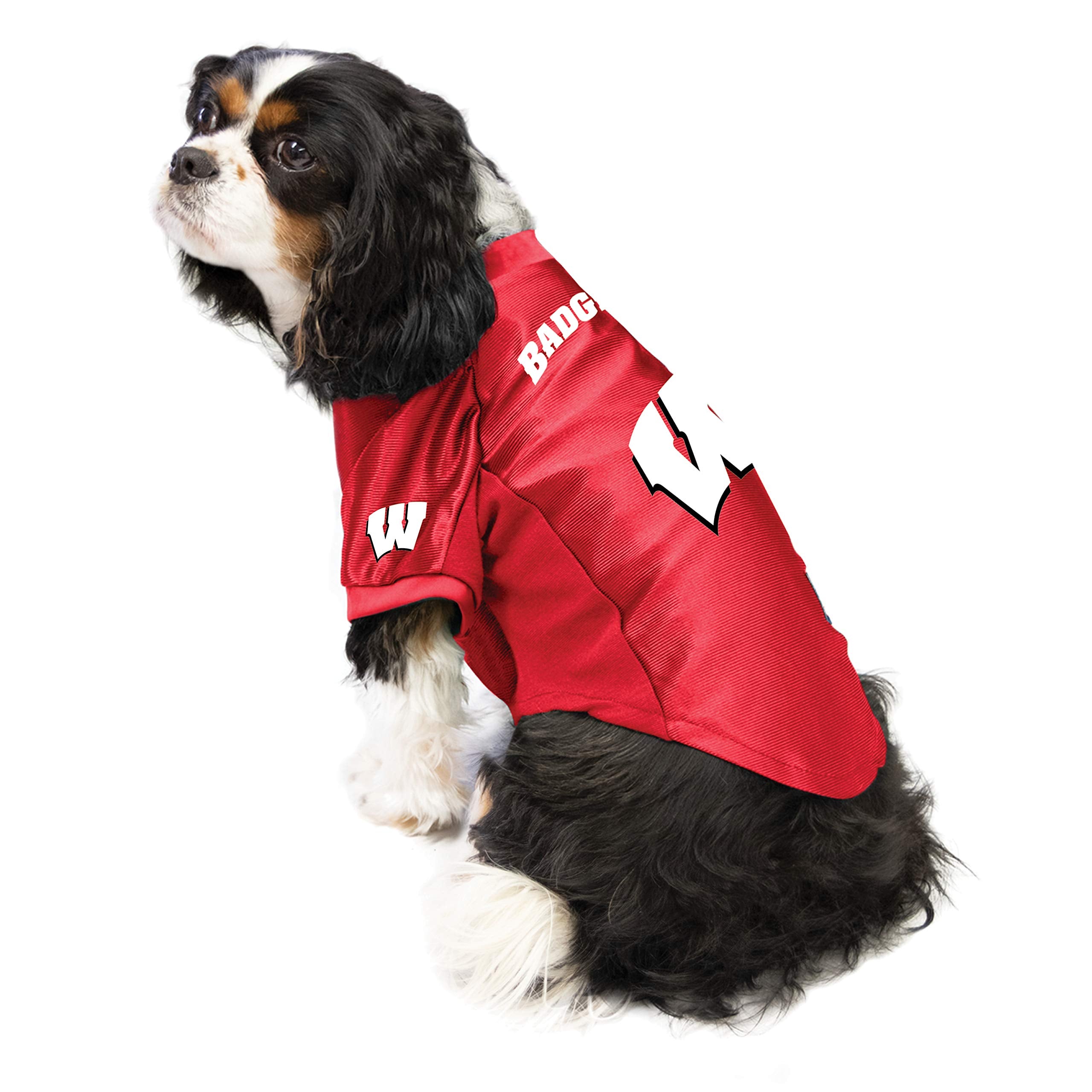 Wisconsin Badgers Pet Jersey Stretch Size S - Special Order