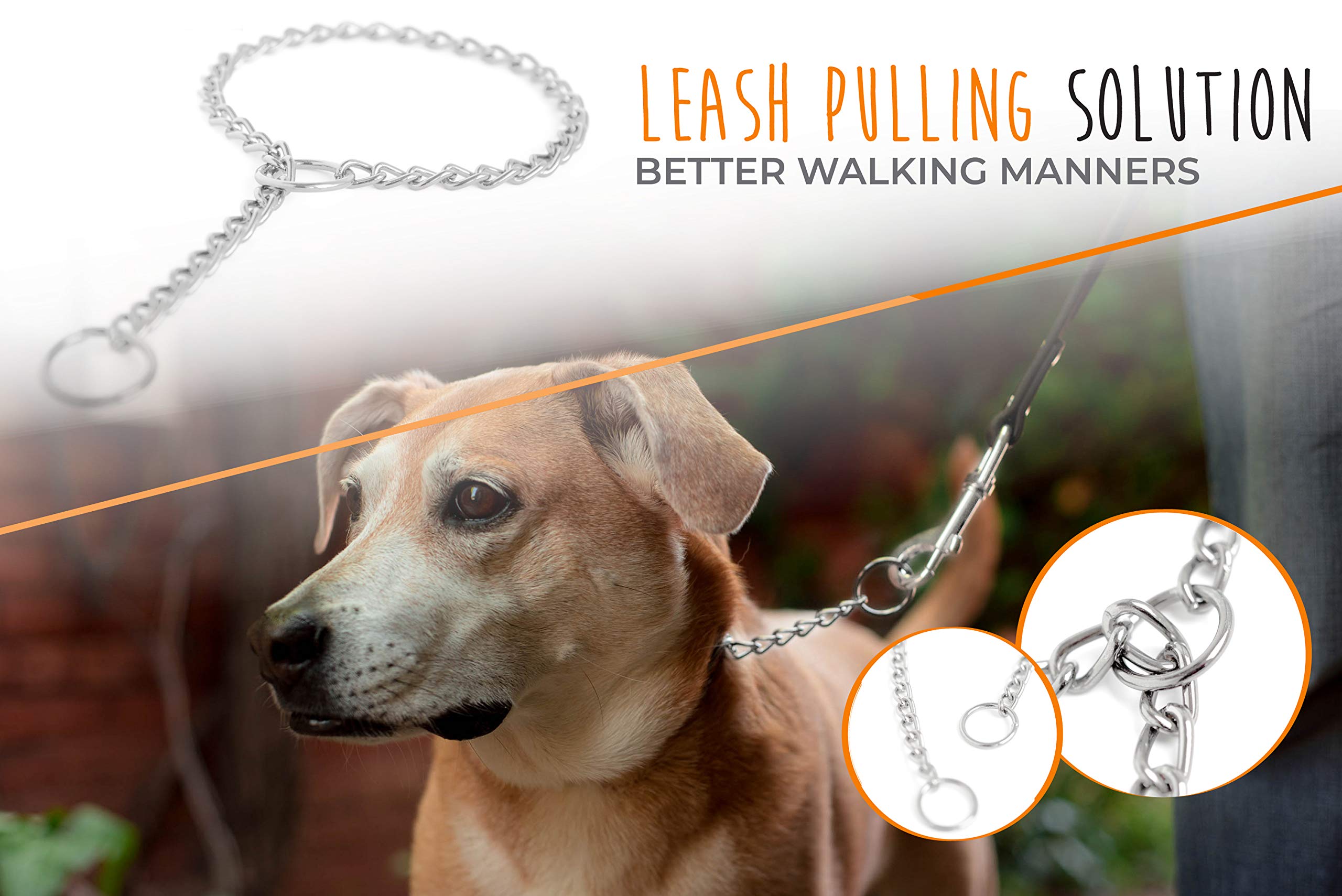 Mighty Paw Slip Collar - Stainless Steel - Weather Resistant - Tarnish Proof - Durable Chain Dog Choke Collars - No Pull Dogs Training - Strong And Premium - Metal Chain (30')