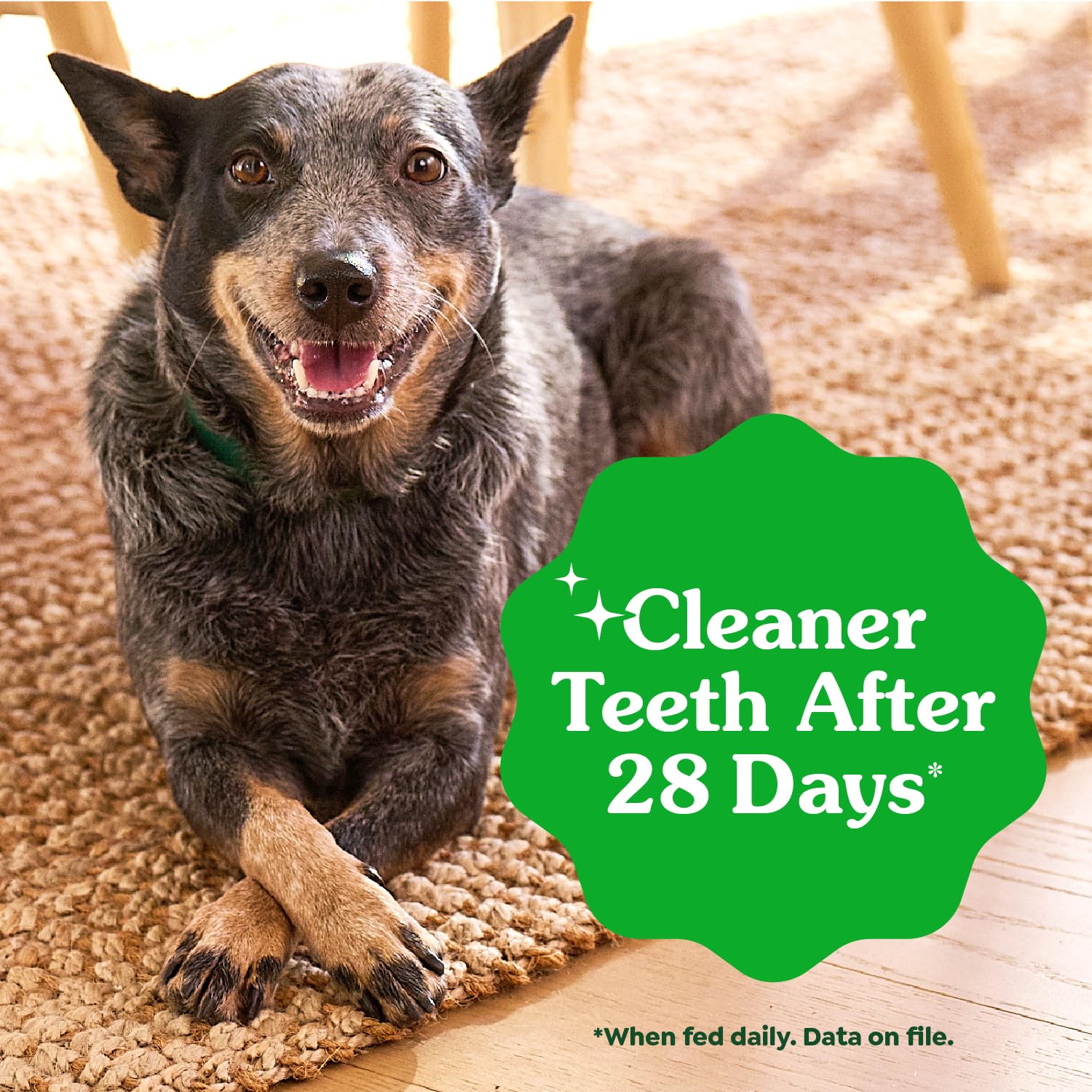 Greenies Puppy Regular Size Natural Dental Dog Treats, 6 oz. Pouch (6 Treats)