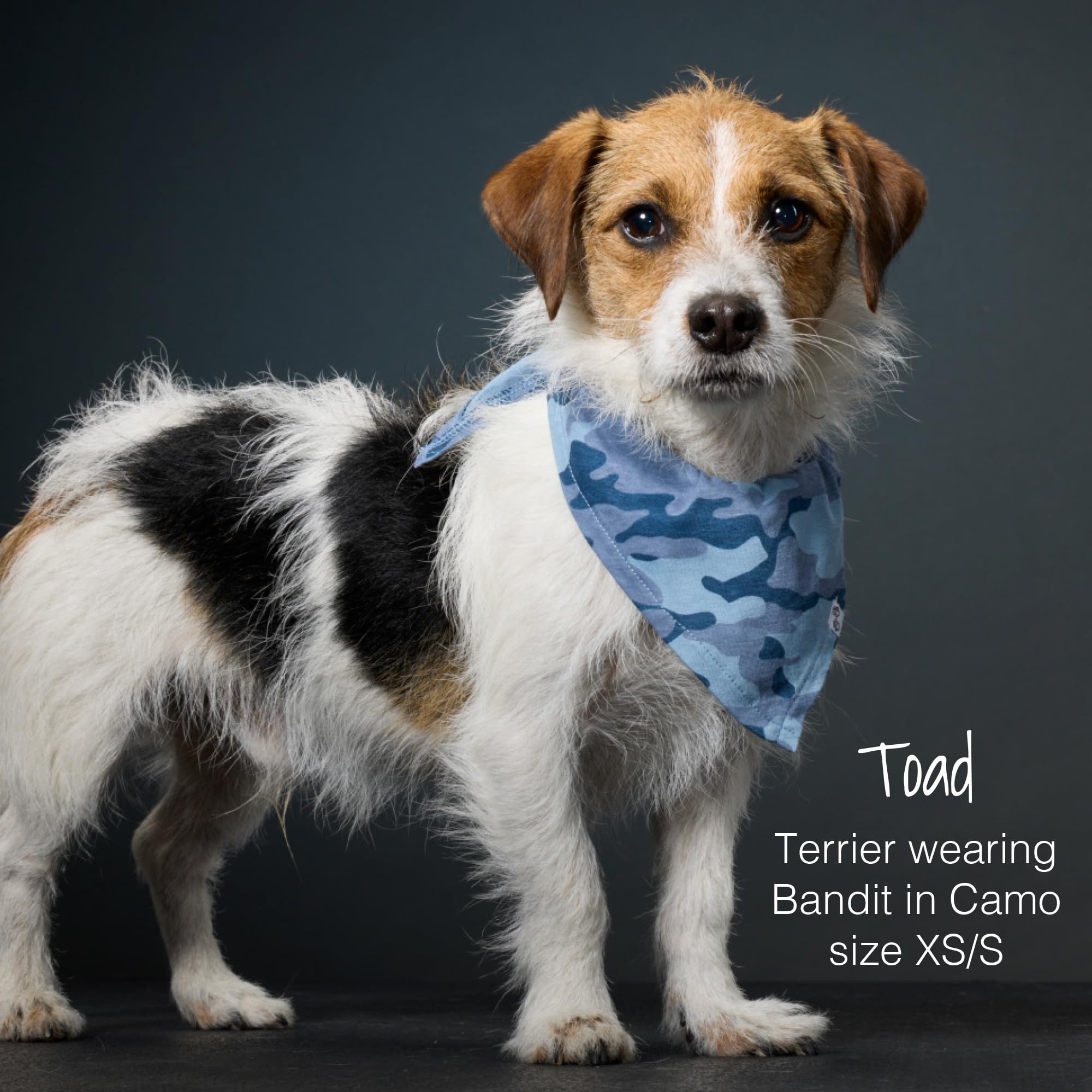 Pet Passion Multipack 100% Organic Cotton Pet Bandanas For Small, Medium And Large Dogs, Camo-Sand, X-Small/Small
