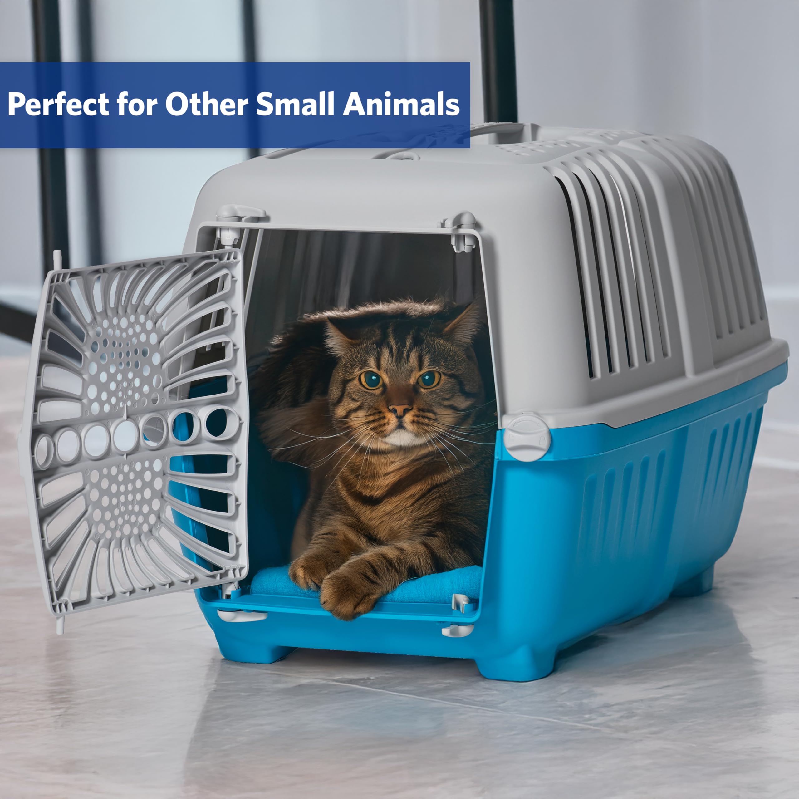 Midwest Homes For Pets Spree Travel Pet Carrier | Hard-Sided Pet Kennel Ideal For Xs Dog Breeds, Small Cats & Small Animals | Do