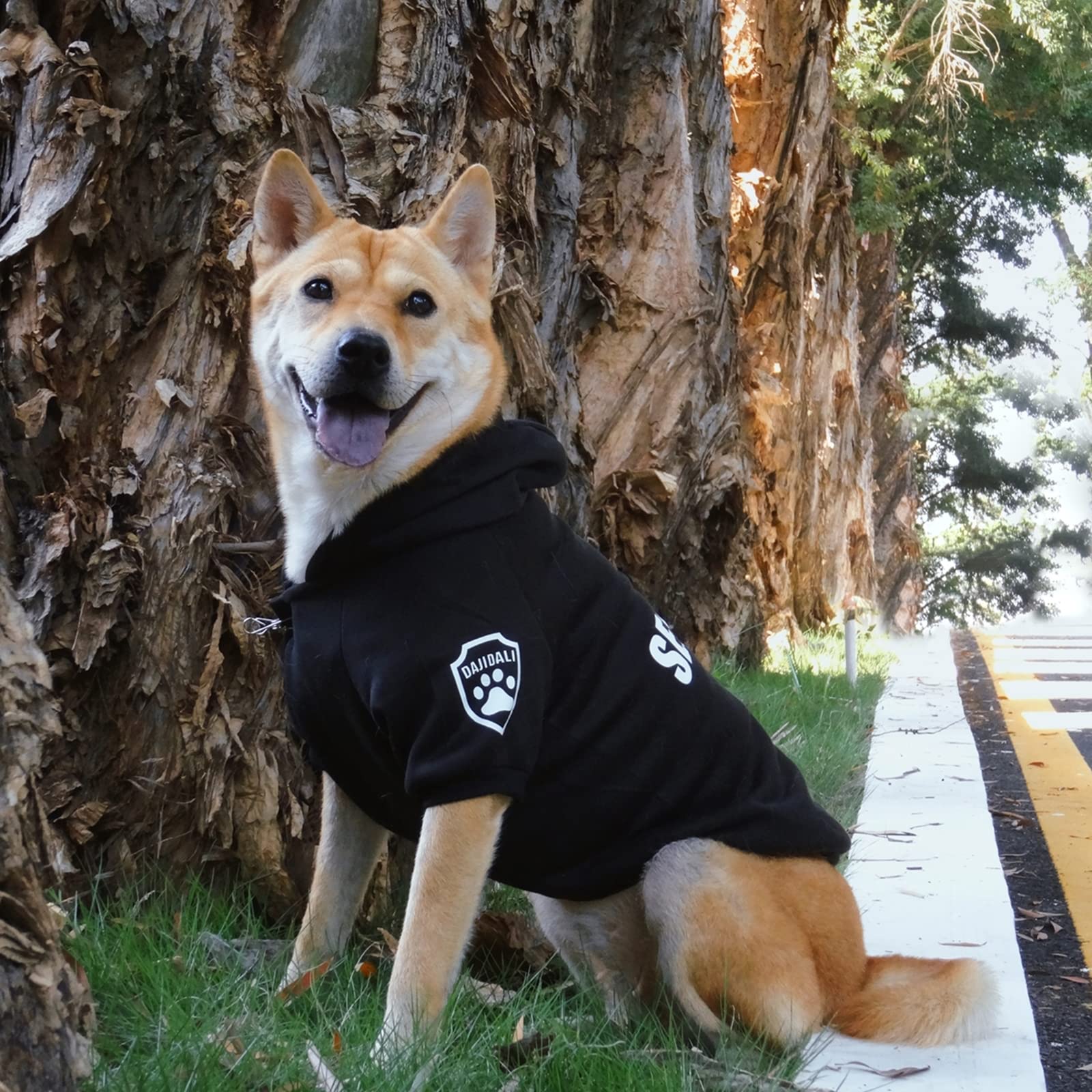 Dog Security Hoodie With Glow-In-The-Dark Prints Dajidali Dog Clothes Apparel Winter Sweatshirt Warm Sweater Jacket Coat Hoodie
