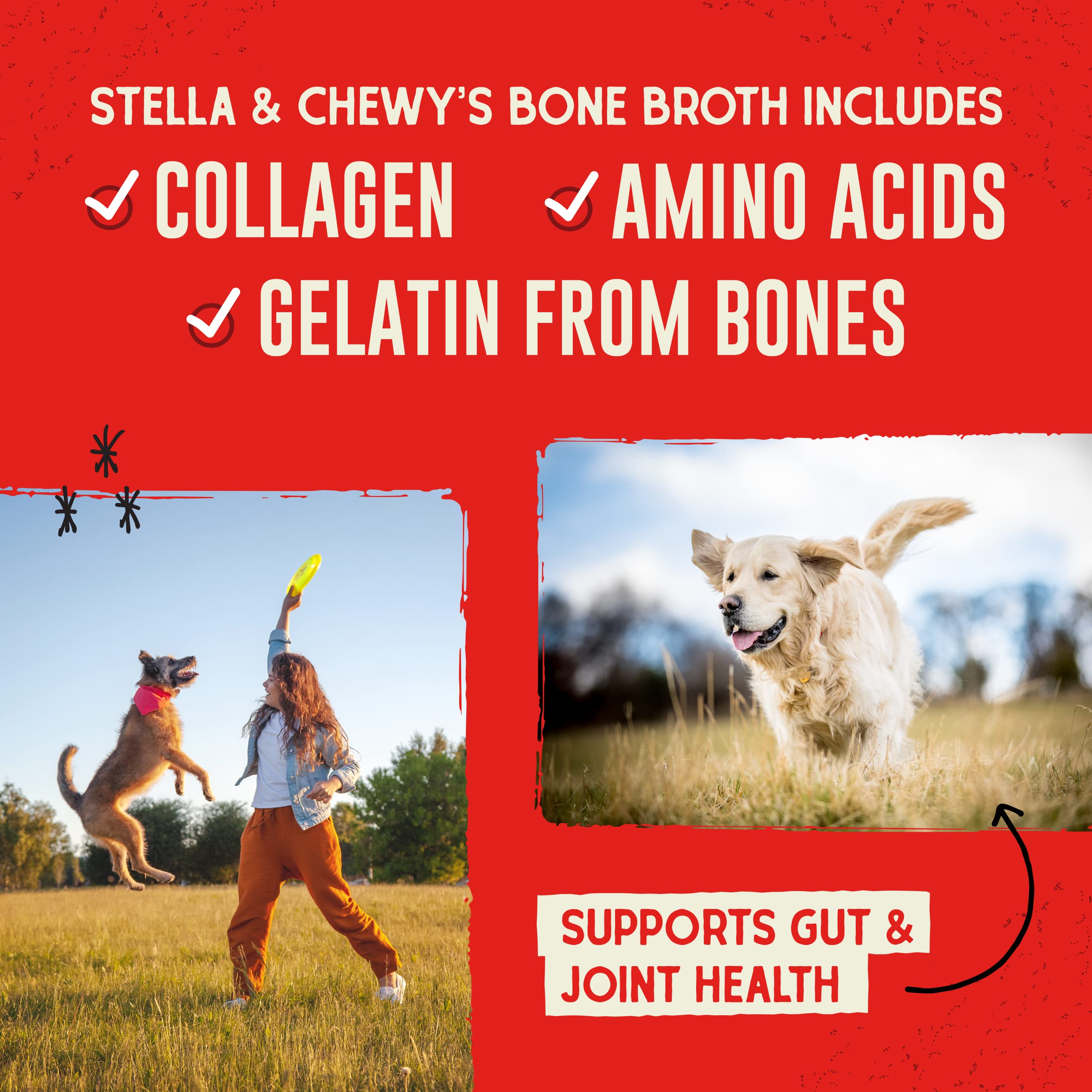 Stella & Chewy's Bountiful Bone Broth Meal Topper for Dogs, 16 Oz, Beef Flavor, Resealable Pouch, Model BBB-B-16-EA